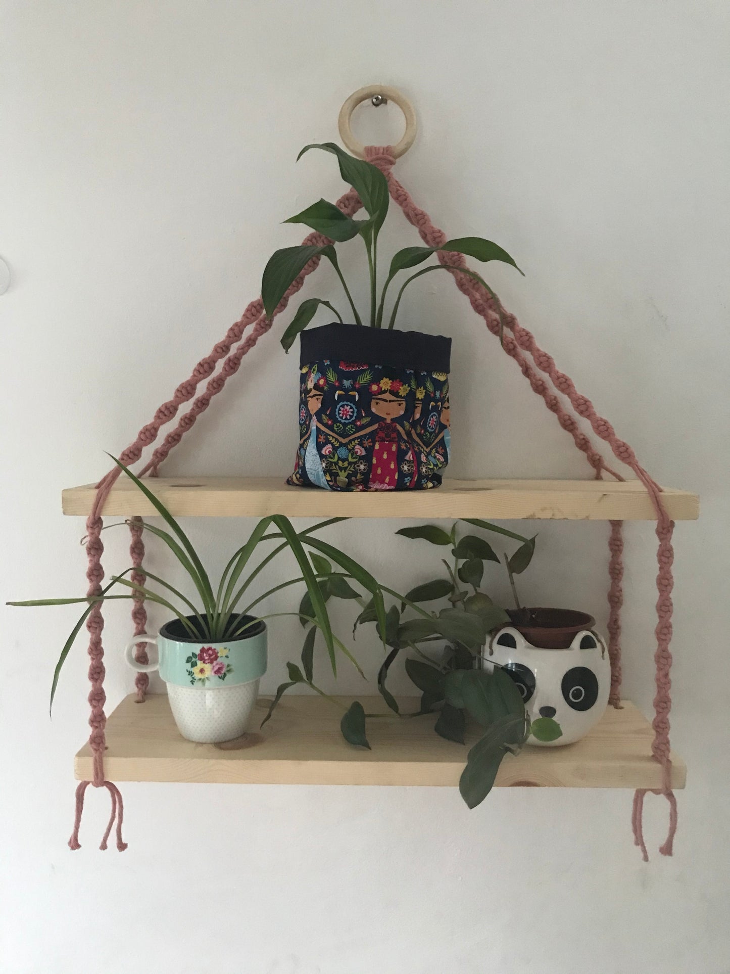 A set of macrame shelves, made with two solid wood shelf pieces, suspended by blush pink coloured knotted yarn, on a wooden hanging ring, hanging against a white painted wall. There are three houseplants on the shelves. 