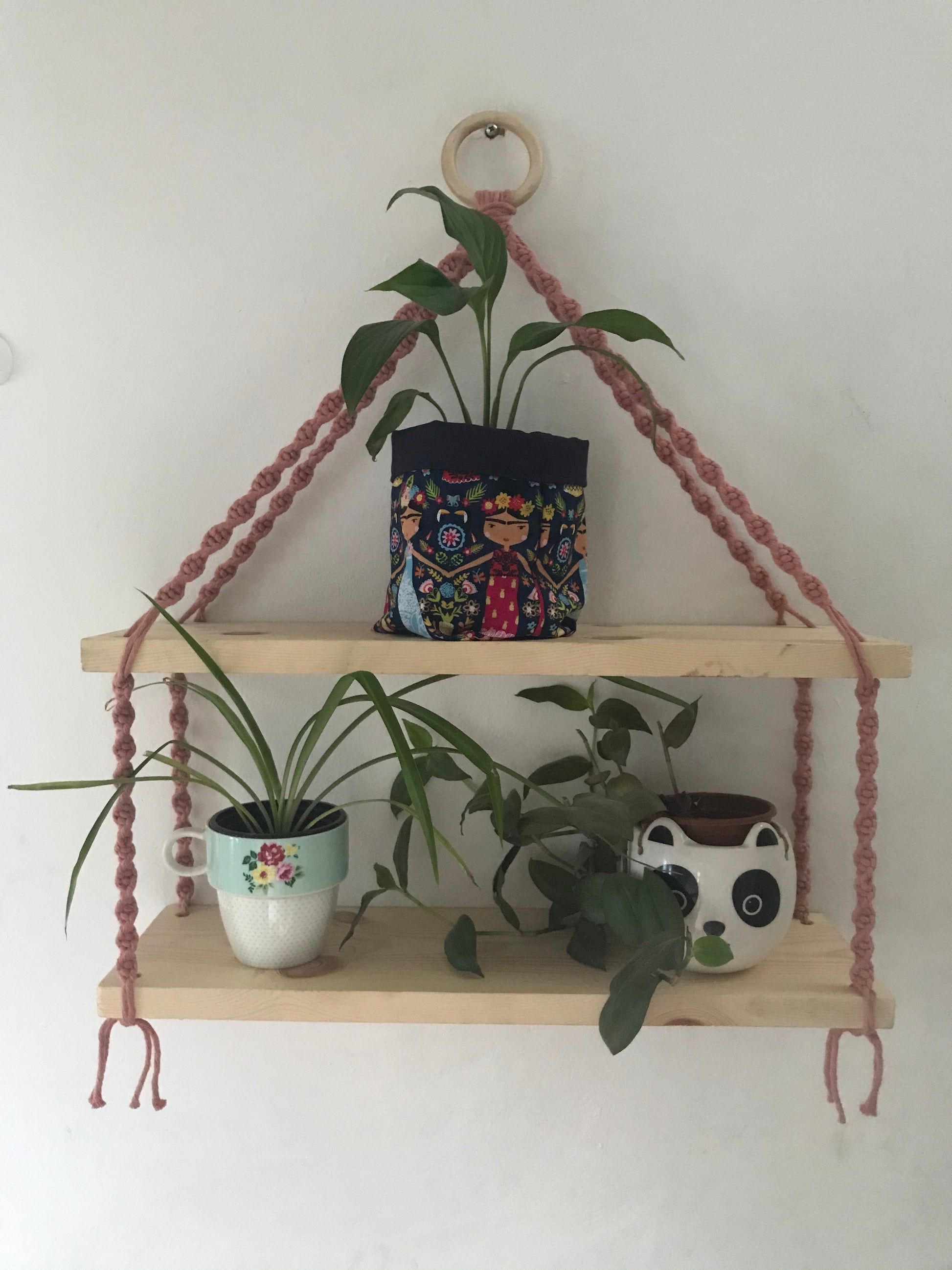 A set of macrame shelves, made with two solid wood shelf pieces, suspended by blush pink coloured knotted yarn, on a wooden hanging ring, hanging against a white painted wall. There are three houseplants on the shelves. 