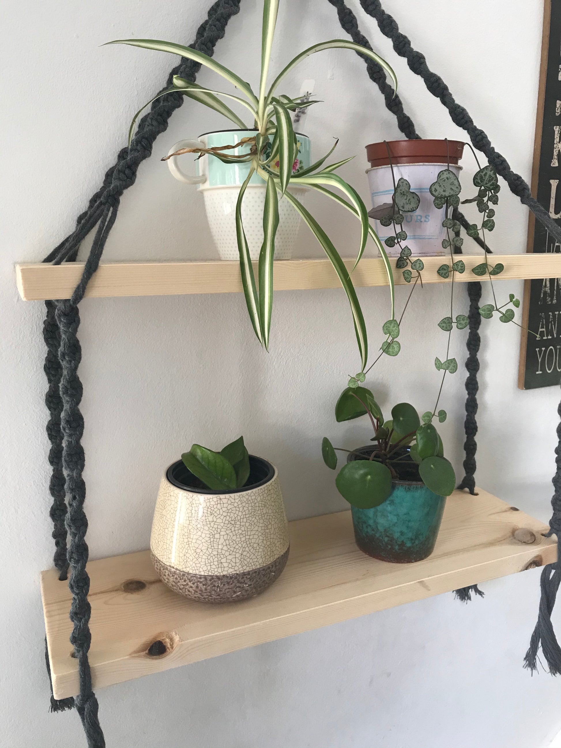 Close up of a set of macrame shelves, made with two solid wood shelf pieces, suspended by dark grey coloured knotted yarn, hanging against a white painted wall. There are four small houseplants on the shelves. 