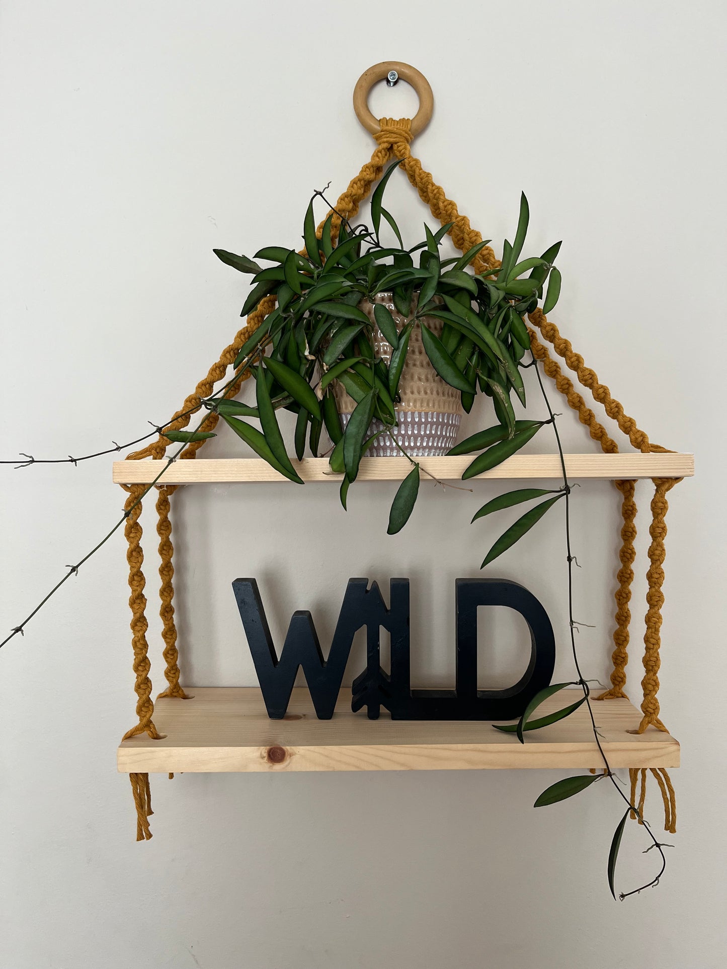 A set of macrame shelves, made with two solid wood shelf pieces, suspended by mustard yellow coloured knotted yarn, on a wooden hanging ring, hanging against a beige painted wall. There is a long green trailing plant on the top shelf, and a wooden sign in black which says "WILD" on the bottom shelf.
