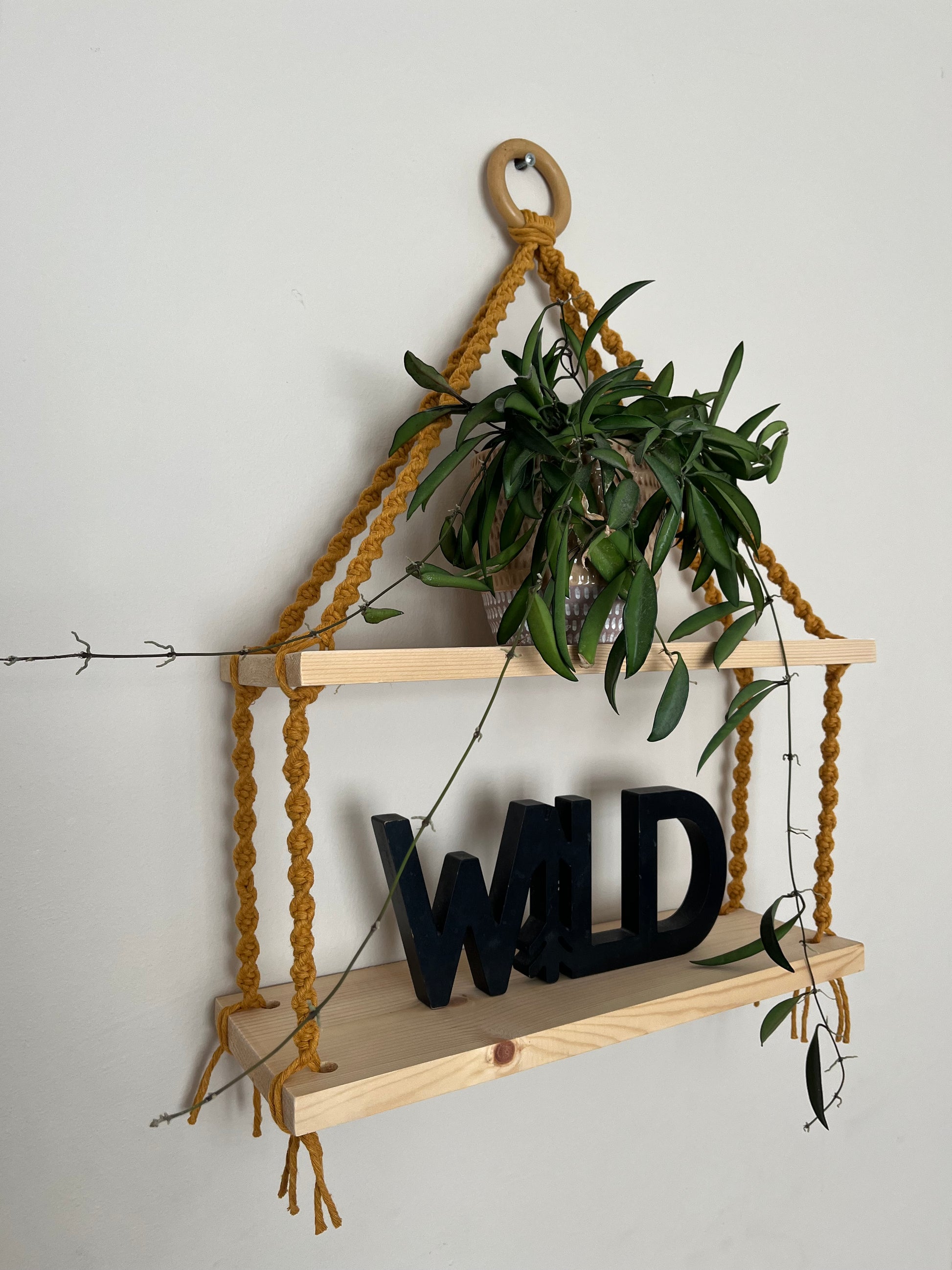 Side angle view of a set of macrame shelves, made with two solid wood shelf pieces, suspended by mustard yellow coloured knotted yarn, on a wooden hanging ring, hanging against a beige painted wall. There is a long green trailing plant on the top shelf, and a wooden sign in black which says "WILD" on the bottom shelf.