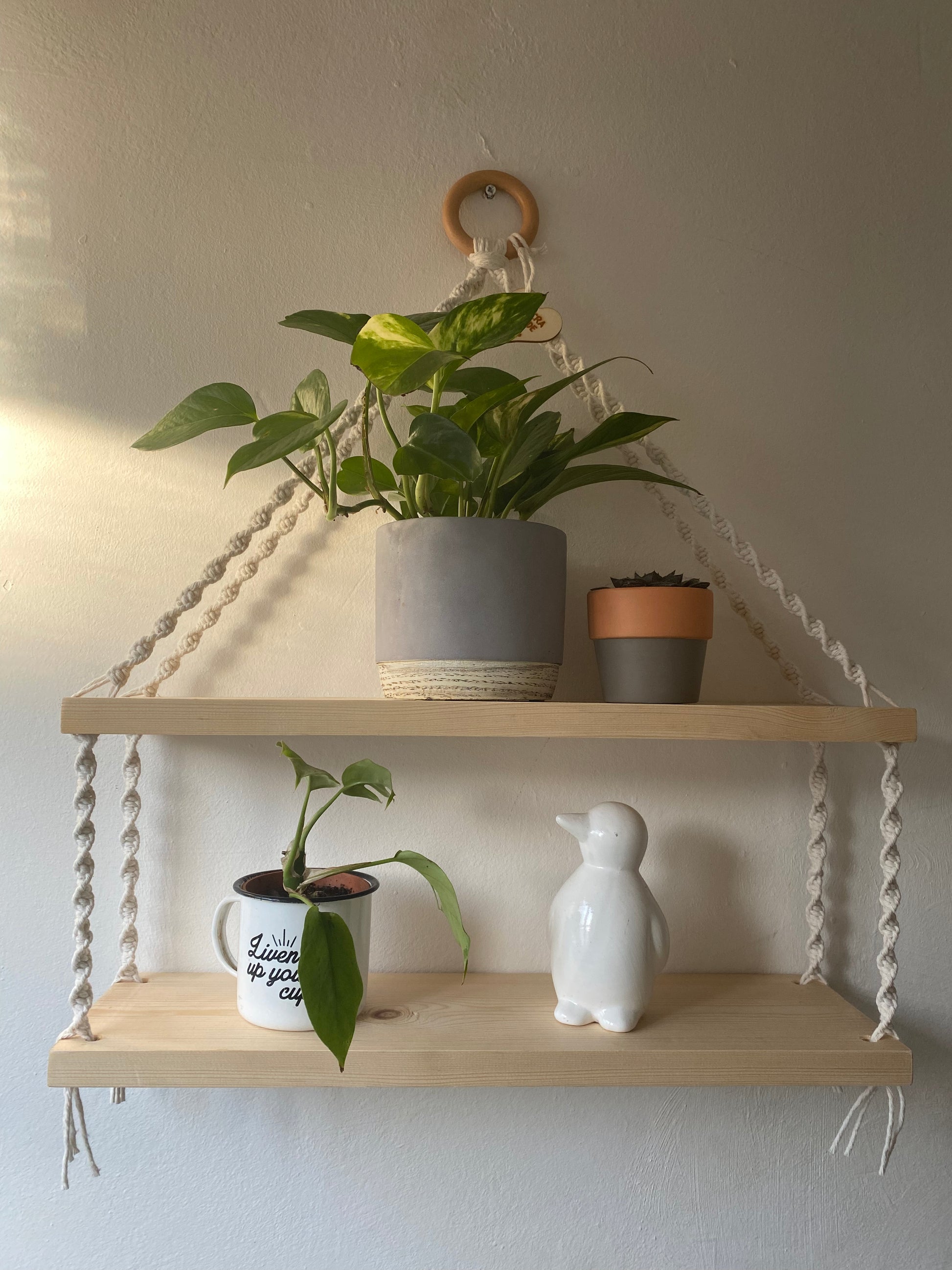 A set of macrame shelves, made with two solid wood shelf pieces, suspended by natural coloured knotted yarn, on a wooden hanging ring, hanging against a beige painted wall. There is a green plant on the top shelf, a small plant and a penguin ornament on the bottom shelf. 