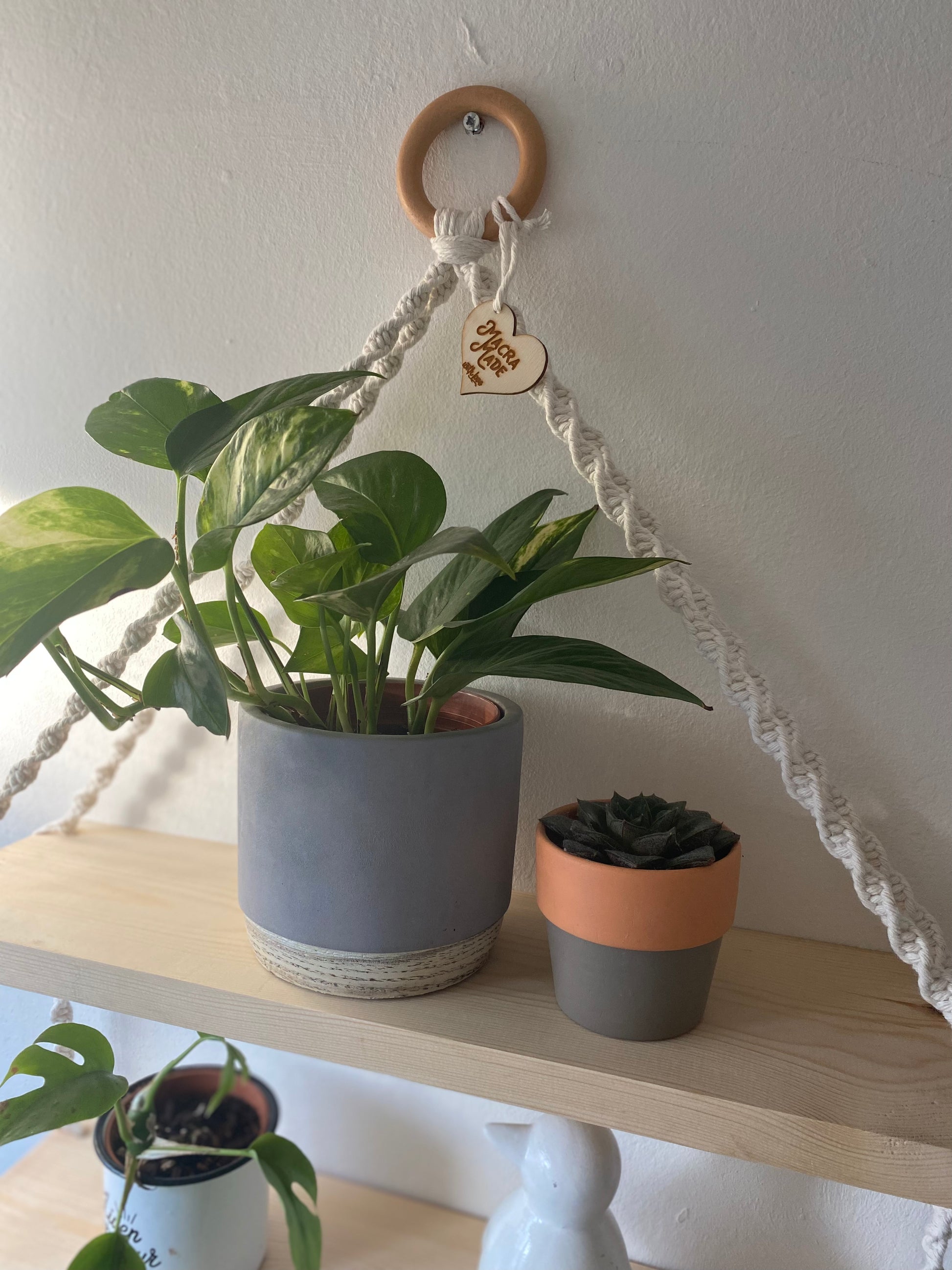 Close up of houseplants on a set of macrame shelves, made with two solid wood shelf pieces, suspended by natural coloured knotted yarn, on a wooden hanging ring, hanging against a white painted wall. 