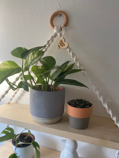 Close up of houseplants on a set of macrame shelves, made with two solid wood shelf pieces, suspended by natural coloured knotted yarn, on a wooden hanging ring, hanging against a white painted wall. 