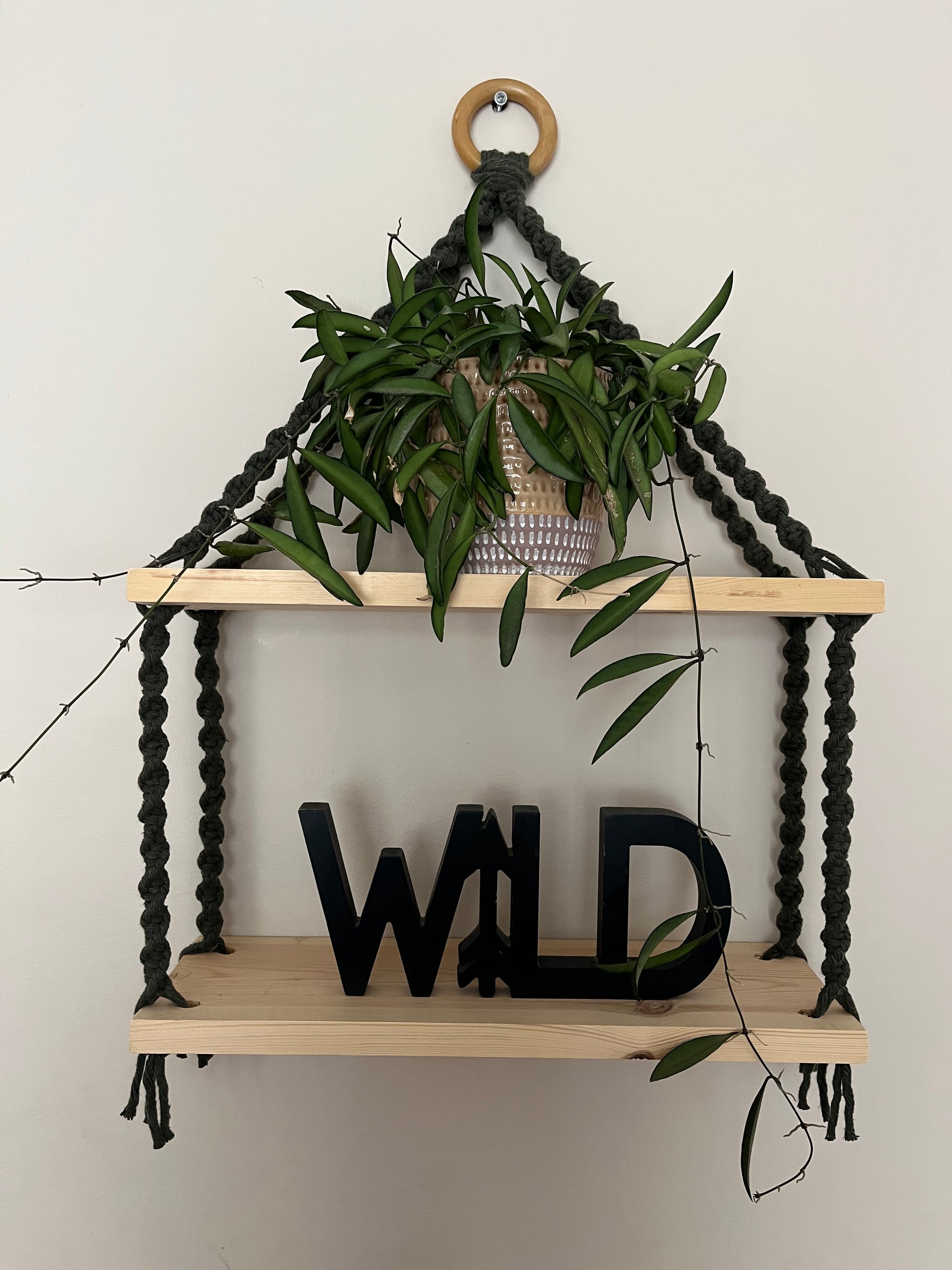 A set of macrame shelves, made with two solid wood shelf pieces, suspended by olive green coloured knotted yarn, on a wooden hanging ring, hanging against a beige painted wall. There is a long green trailing plant on the top shelf, and a wooden sign in black which says "WILD" on the bottom shelf.