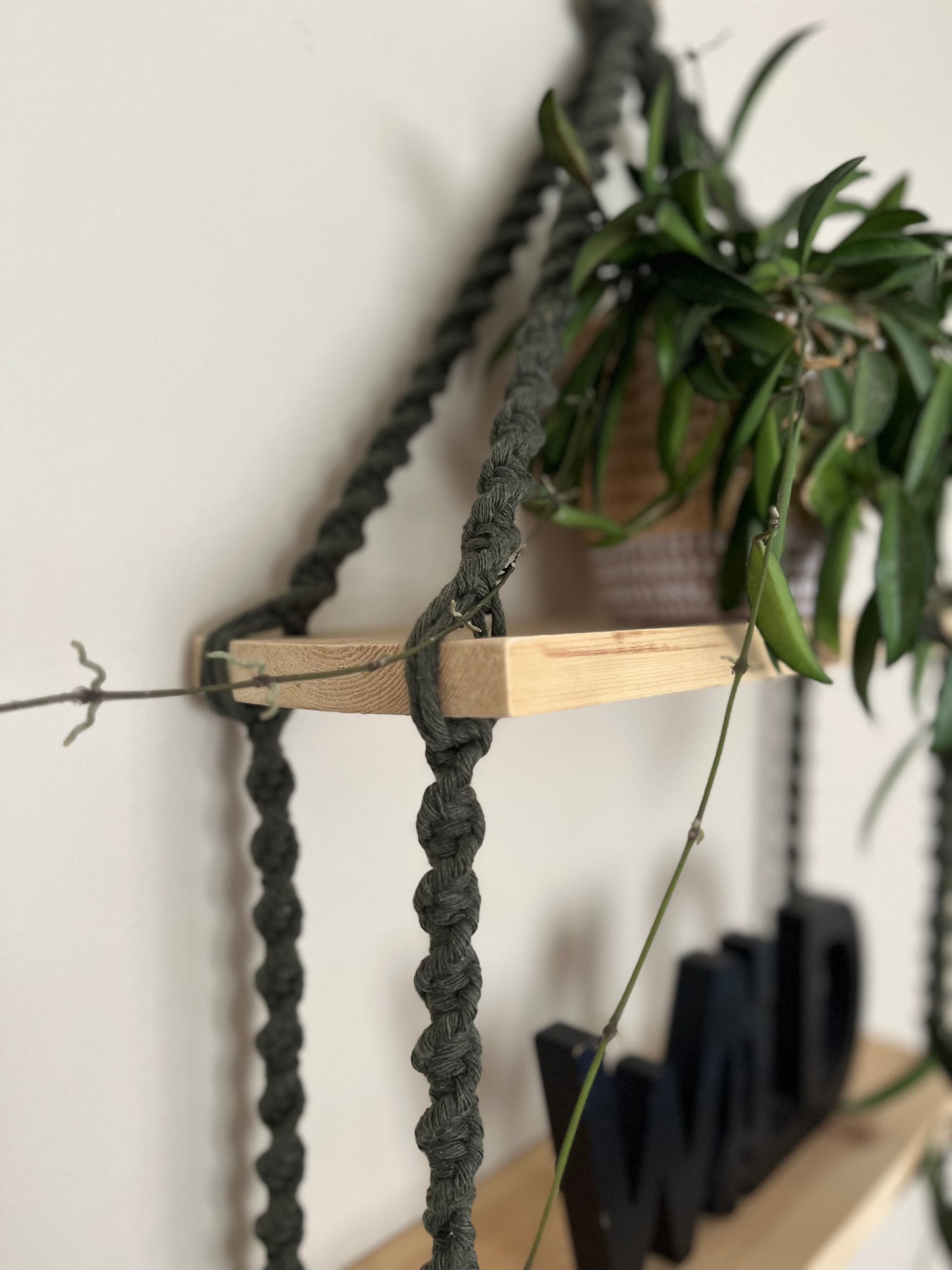 A close up of a set of macrame shelves, made with two solid wood shelf pieces, suspended by olive green coloured knotted yarn, against a beige painted wall. 