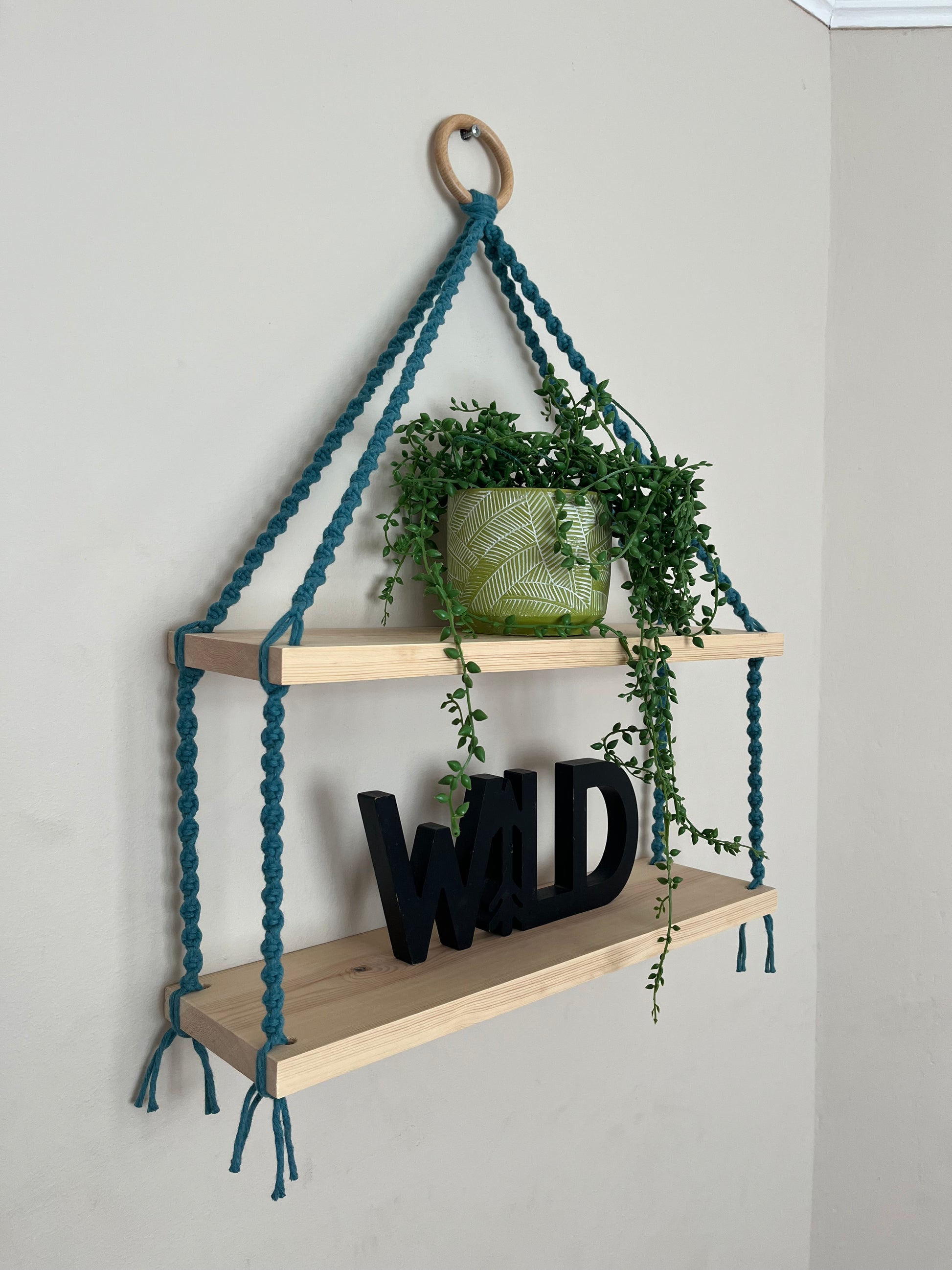 Side angled view of a set of macrame shelves, made with two solid wood shelf pieces, suspended by teal blue coloured knotted yarn, on a wooden hanging ring, hanging against a beige painted wall. There is a long green trailing plant on the top shelf, and a wooden sign in black which says "WILD" on the bottom shelf.