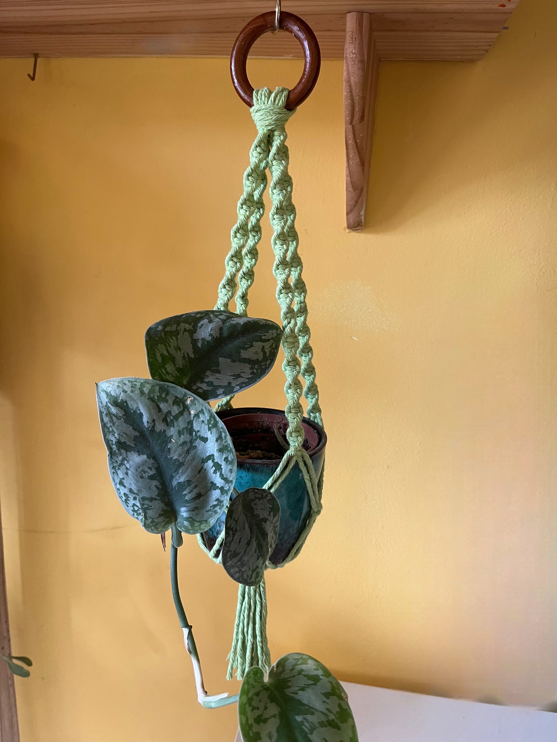 small macrame plant hanger Mini Macramé Plant Hanger