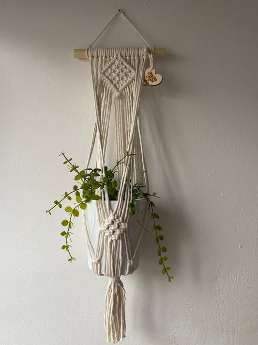 A green trailing plant in a white ceramic pot, suspended against a white wall in a handmade macrame plant holder, made with natural cotton on a pale wood dowel 