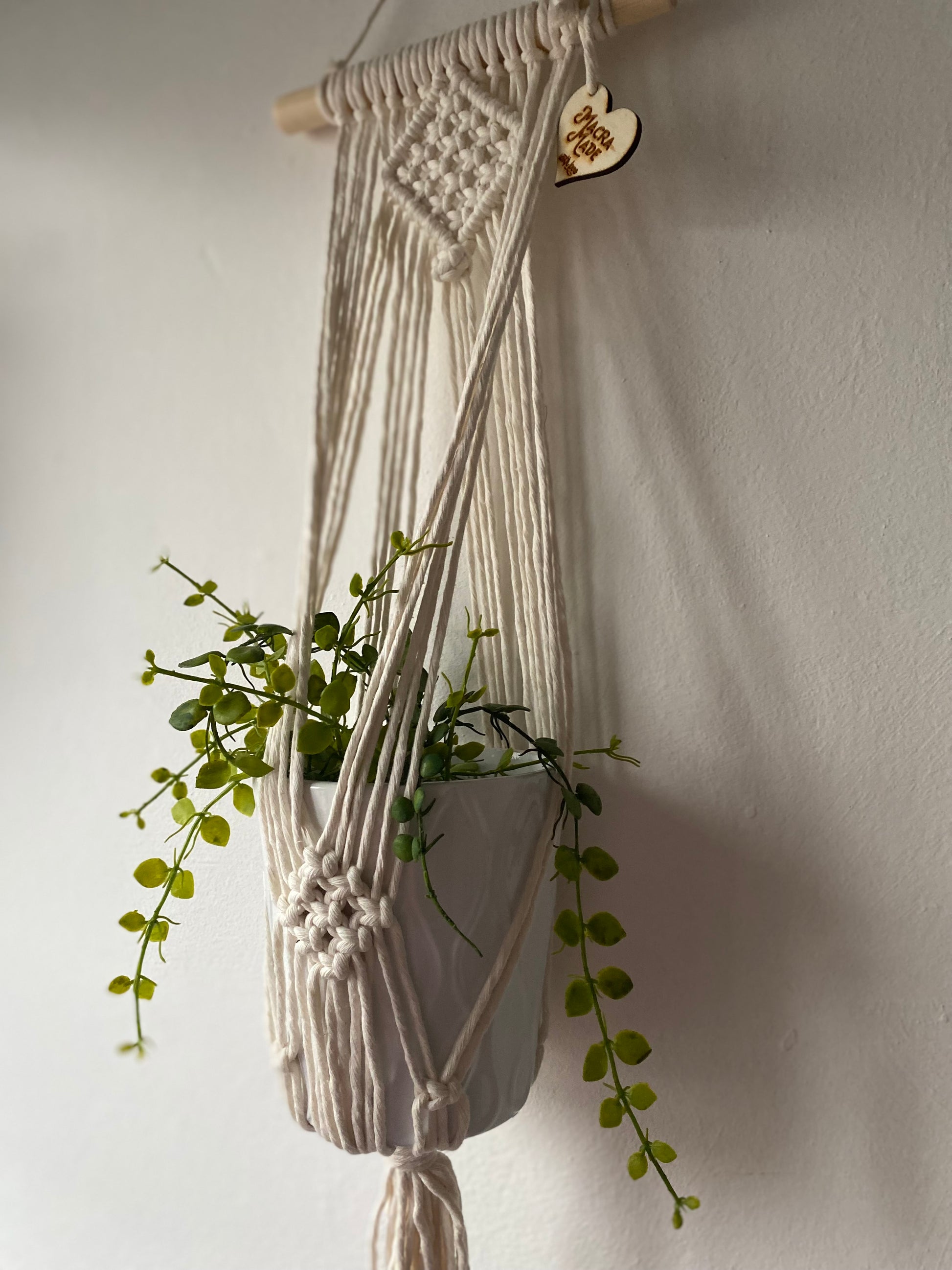 A green trailing plant in a white ceramic pot, suspended against a white wall in a handmade macrame plant holder, made with natural cotton on a pale wood dowel 