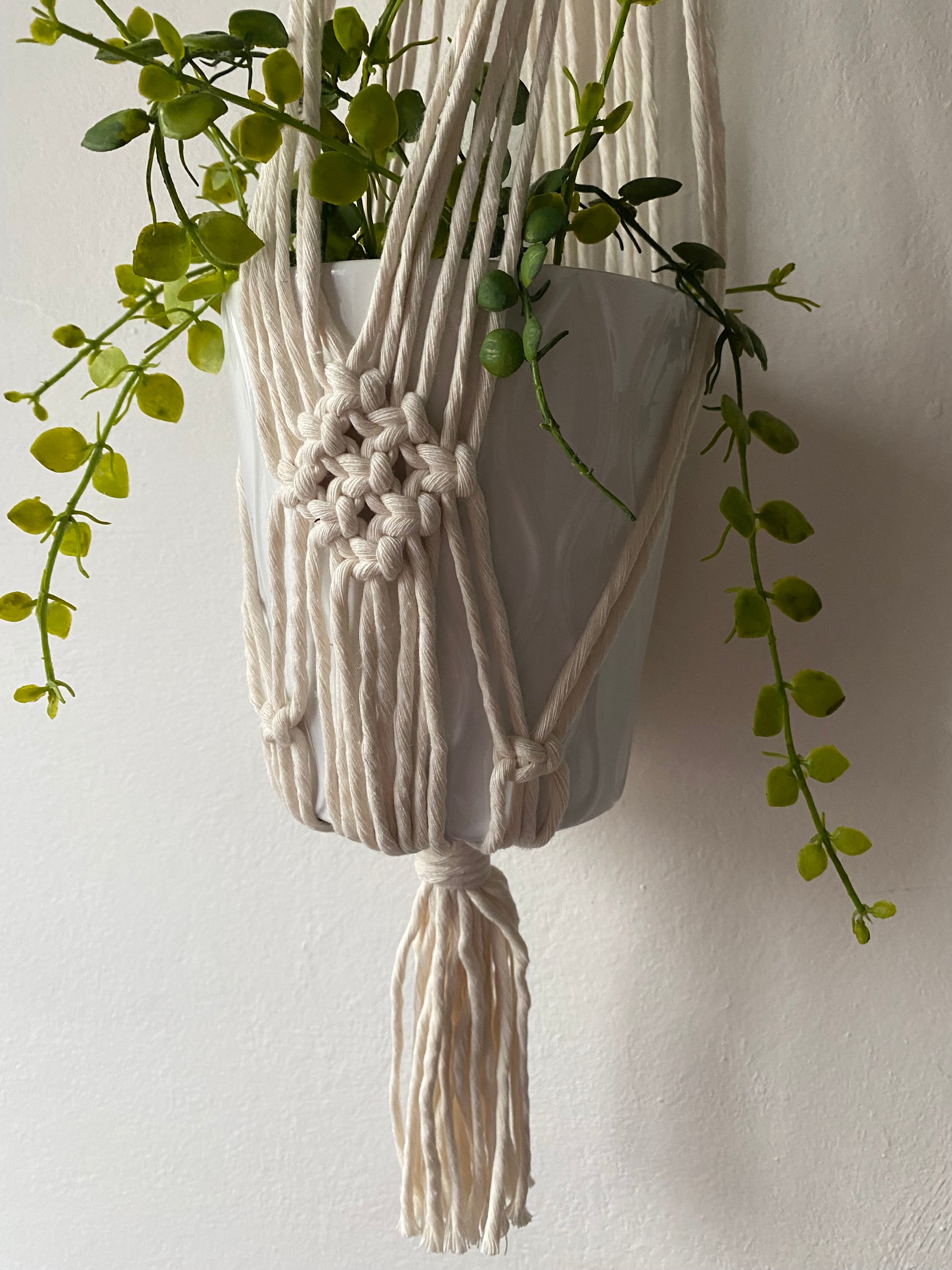 Close up of a green trailing plant in a white ceramic pot, suspended against a white wall in a handmade macrame plant holder, made with natural cotton with a tassel at the bottom. 