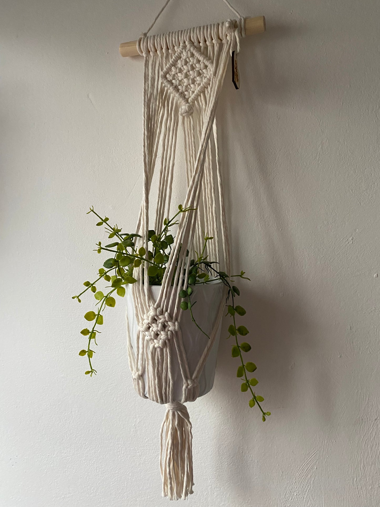 A green trailing plant in a white ceramic pot, suspended against a white wall in a handmade macrame plant holder, made with natural cotton on a pale wood dowel 