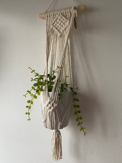 A green trailing plant in a white ceramic pot, suspended against a white wall in a handmade macrame plant holder, made with natural cotton on a pale wood dowel 