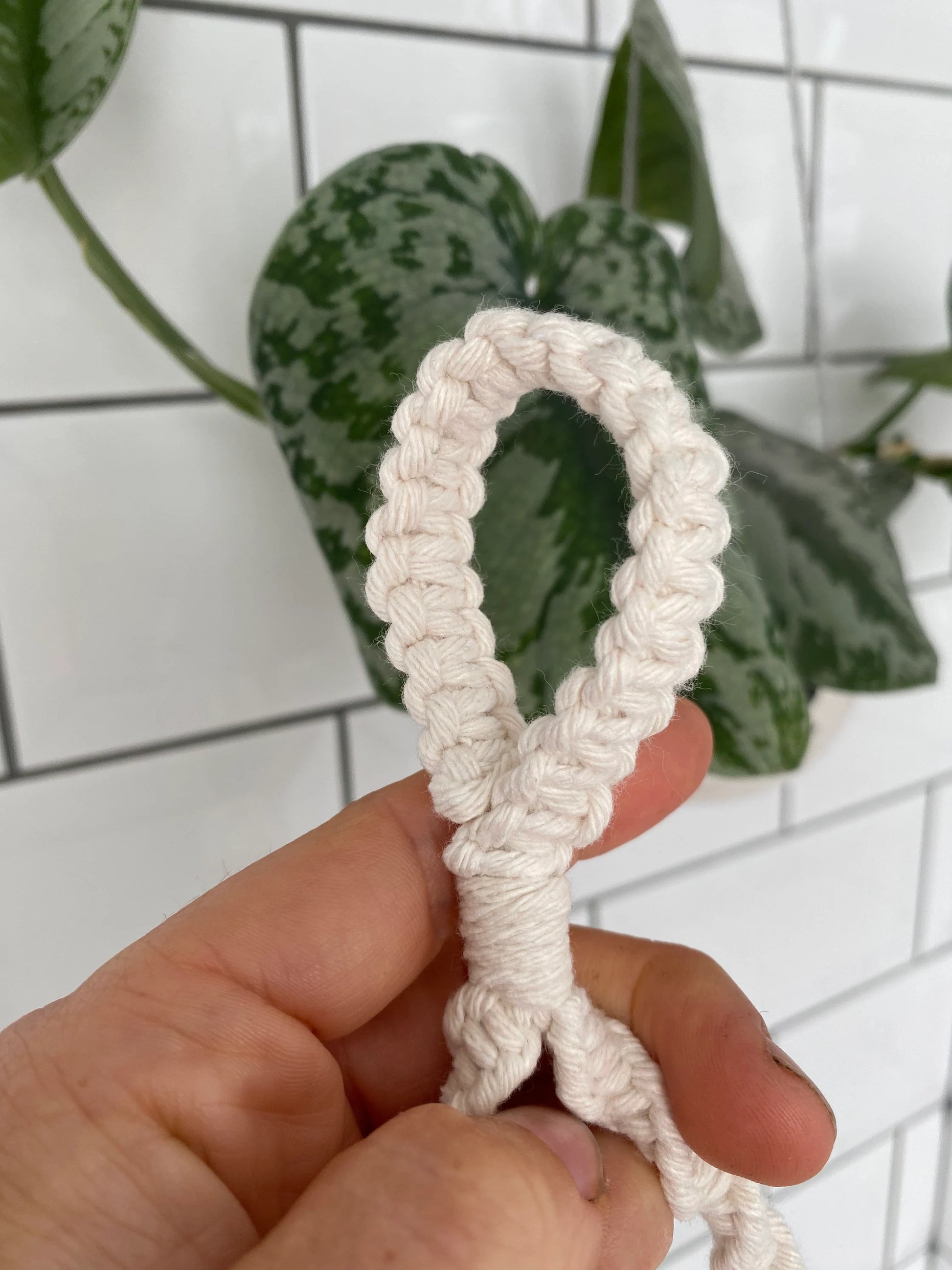 A hand holding a white braided rope loop in front of a white tiled wall, with green variegated leaves of a plant visible in the background. This handmade Macra-Made-With-Love Single toilet roll holder adds both an aesthetic touch and eco-friendly decor to your bathroom accessory collection.