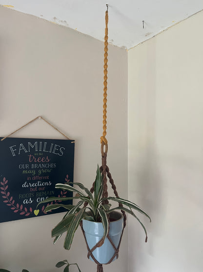 Hanging plant in a blue pot, hanging from the ceiling by a mustard yellow plant hanger extension