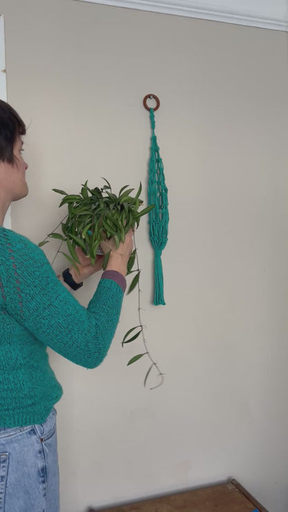 Hanging Basket Plant Hanger for Indoor Plants