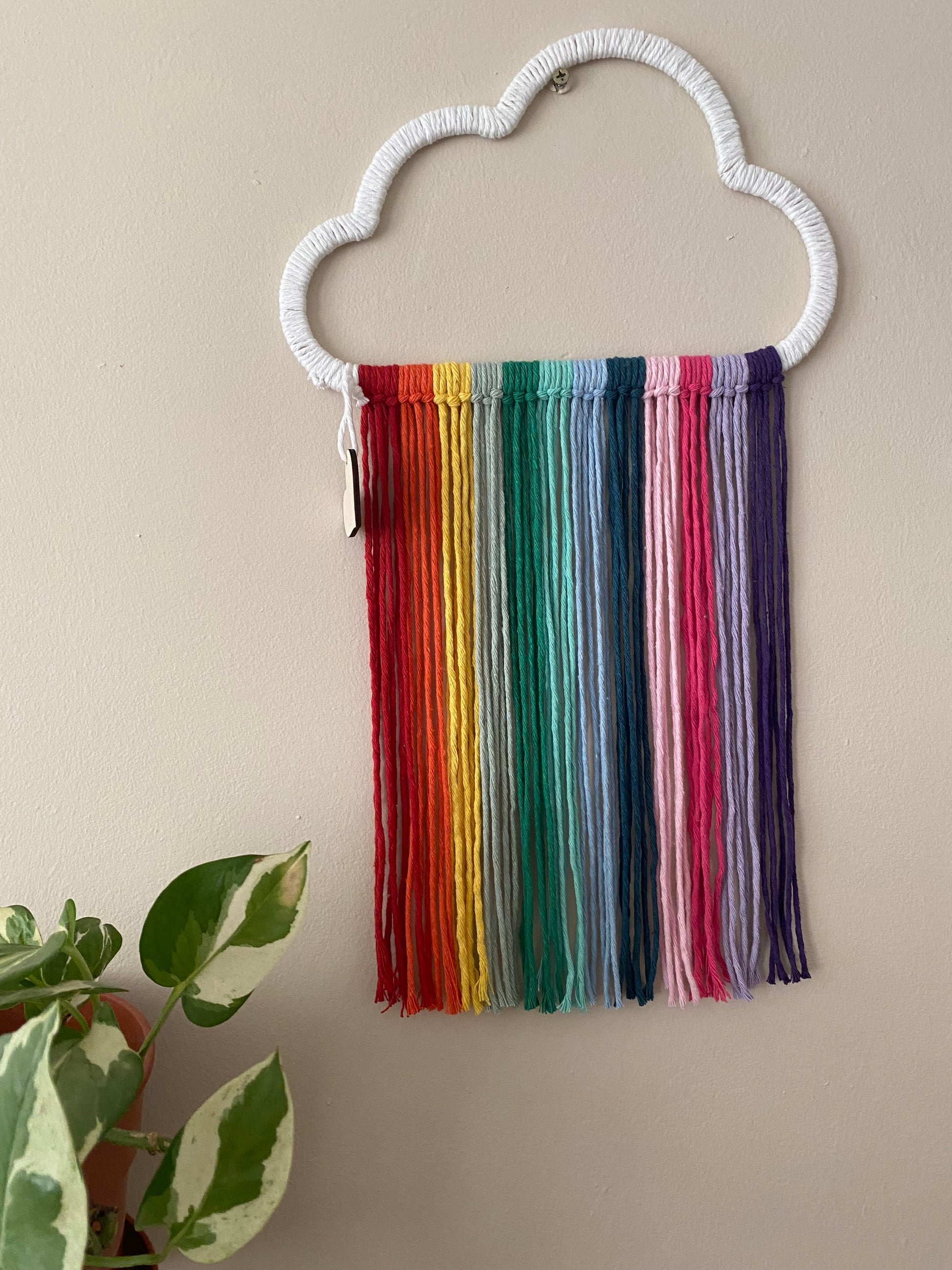 A cloud shaped wall hanging decoration, made with rainbow hanging tassels, displayed against a beige wall next to a small green houseplant. 
