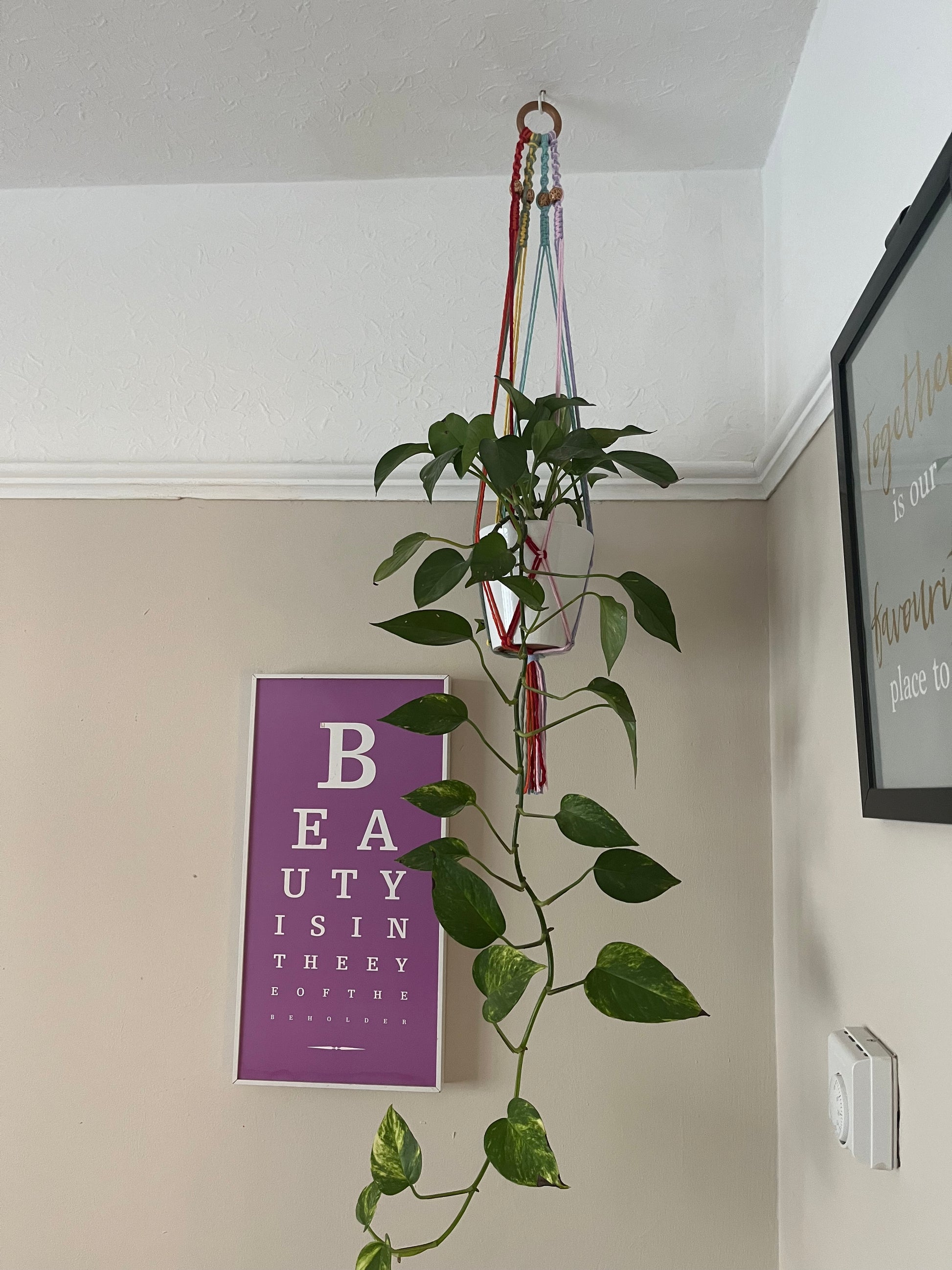 A multicolored macramé plant hanger hanging from the ceiling by a wooden ring, with wooden beads and supporting a long trailing green potted plant.