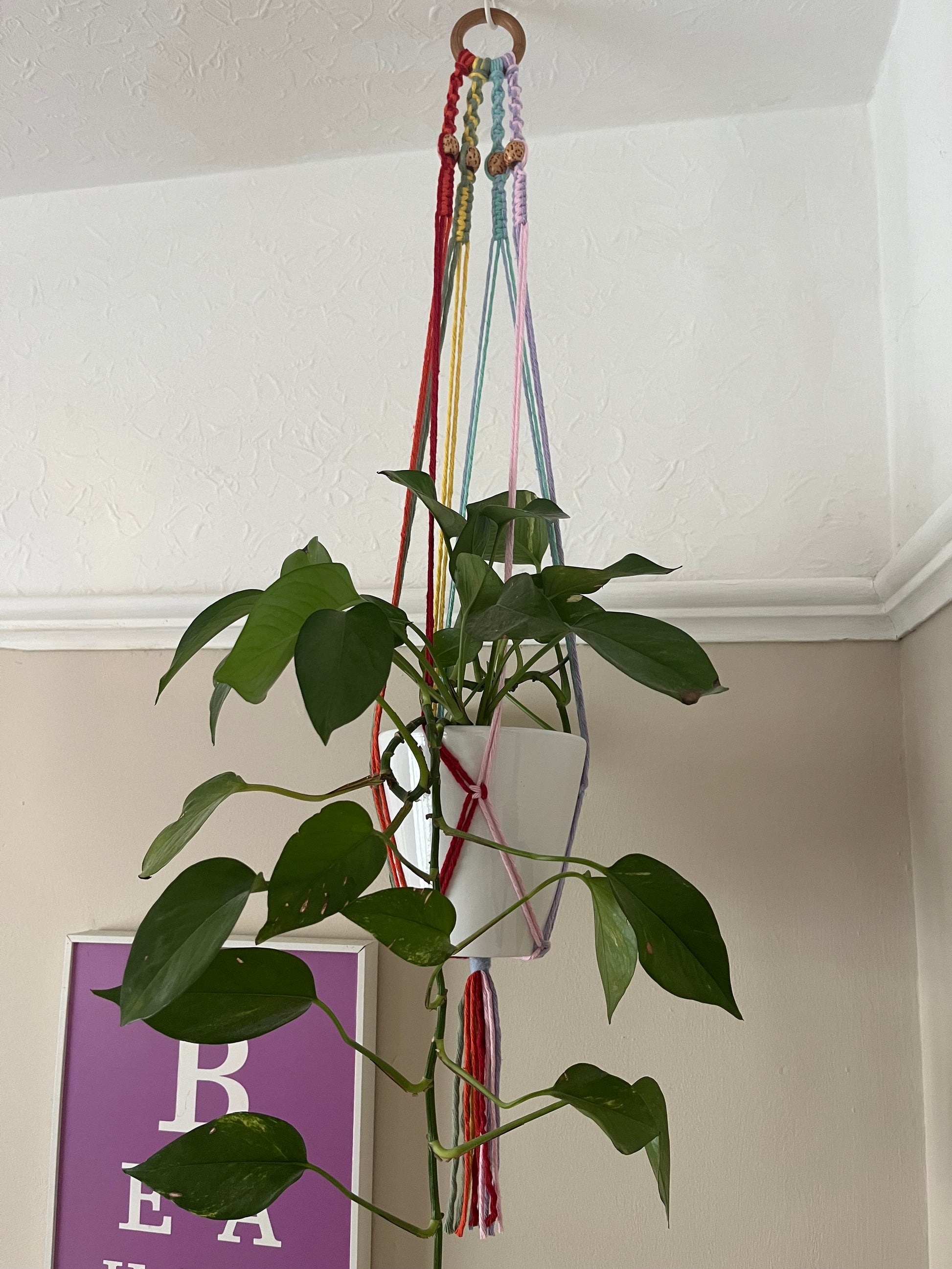 A multicolored macramé plant hanger hanging from the ceiling by a wooden ring, with wooden beads and supporting a long trailing green potted plant.