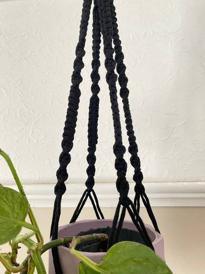 A small green plant sits inside a black macrame plant hanger with intricate knot pattern.