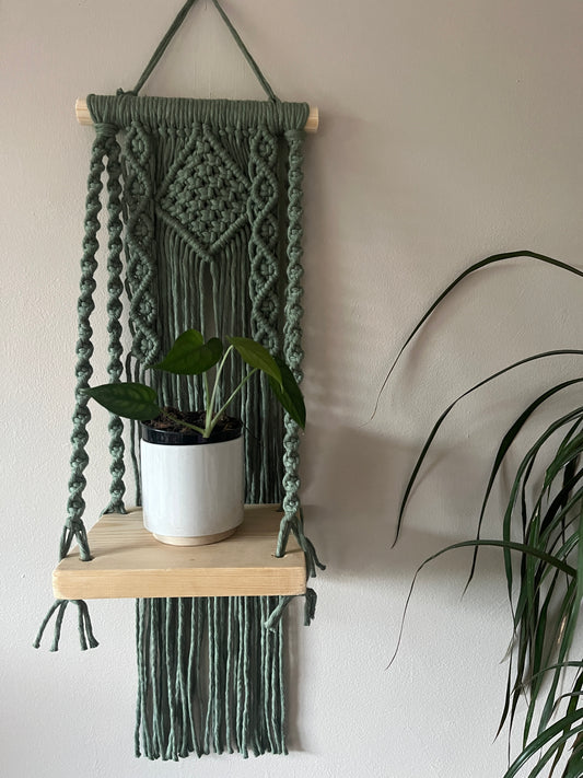 Small plant in a white pot, on a macrame shelf made with an intricately knotted pattern and a small wooden shelf piece. 