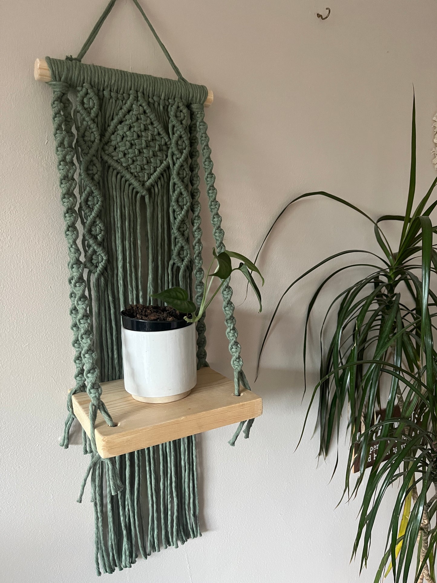 Small plant in a white pot, on a macrame shelf made with an intricately knotted pattern and a small wooden shelf piece. 