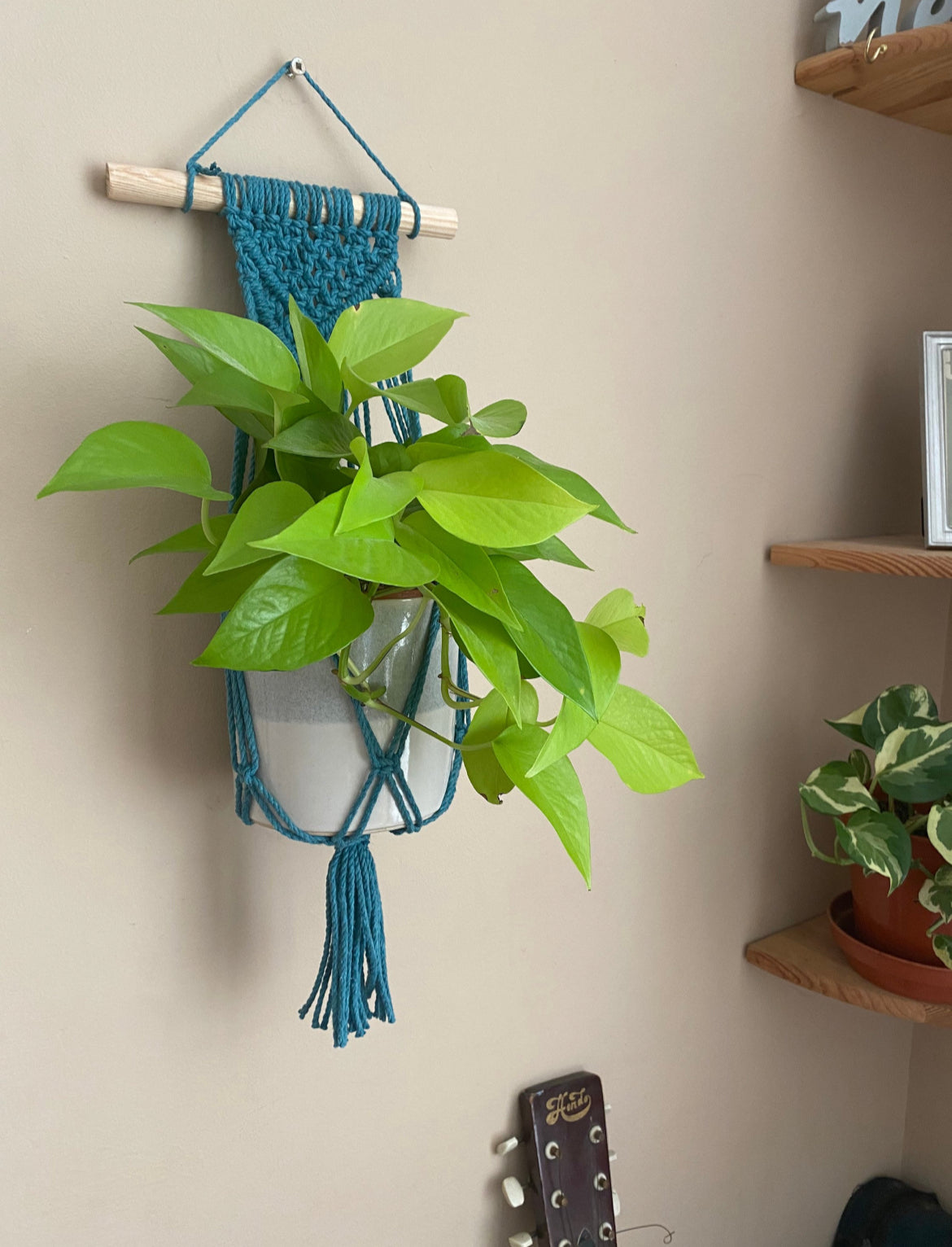 A teal blue macrame wall hanging plant hanger displayed against a neutral wall, holding a bright green potted plant.