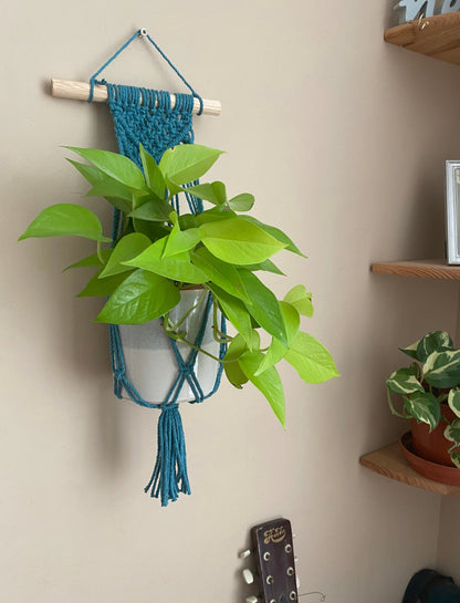 A teal blue macrame wall hanging plant hanger displayed against a neutral wall, holding a bright green potted plant.