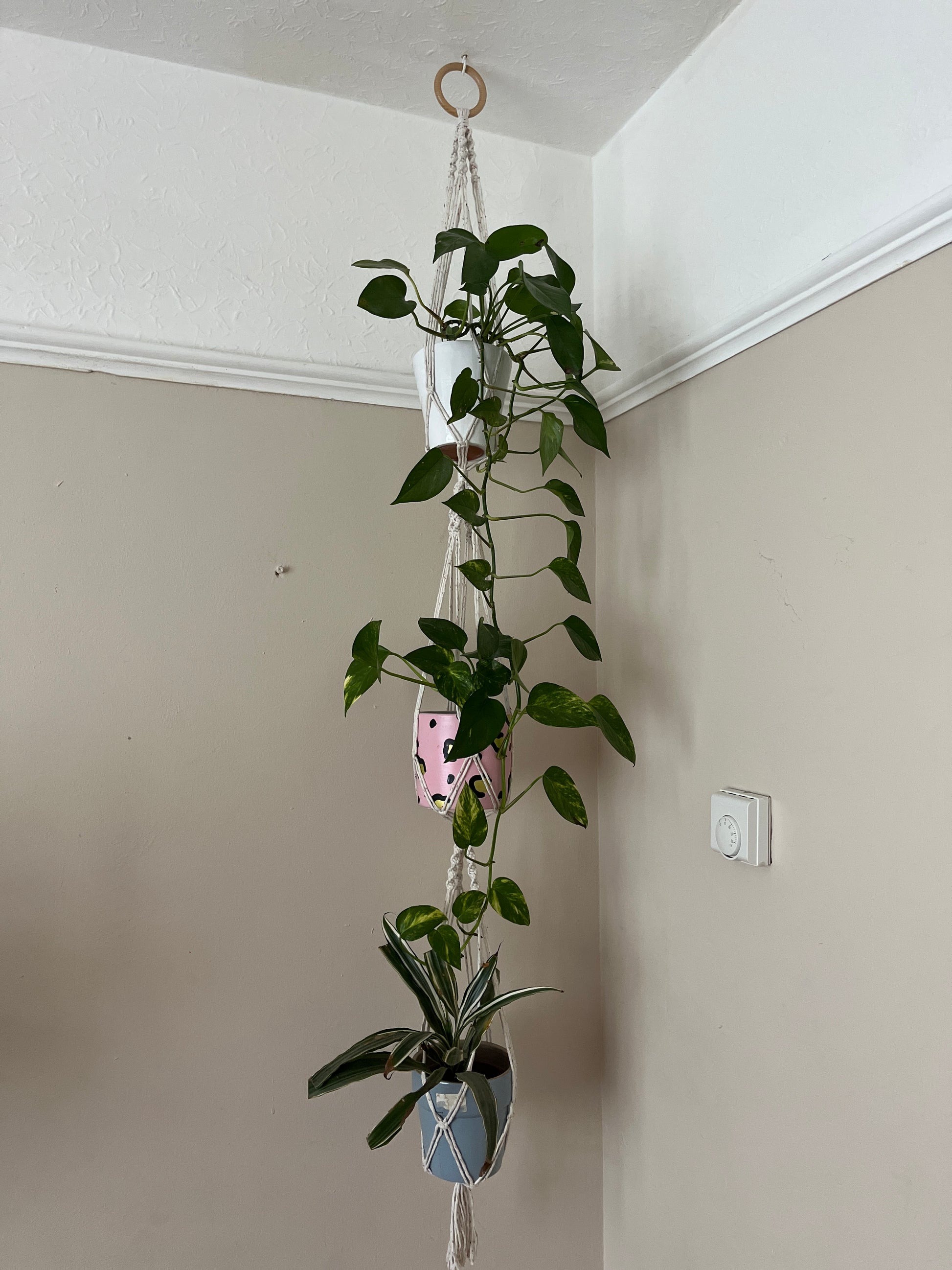 triple plant hanger Triple Macramé Plant Hanger