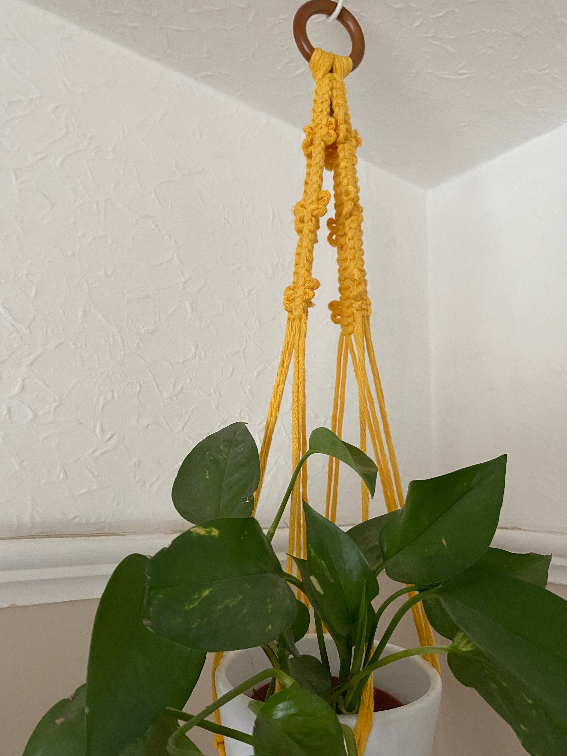 butterfly macrame plant hanger Yellow Butterfly Macramé Plant Hanger