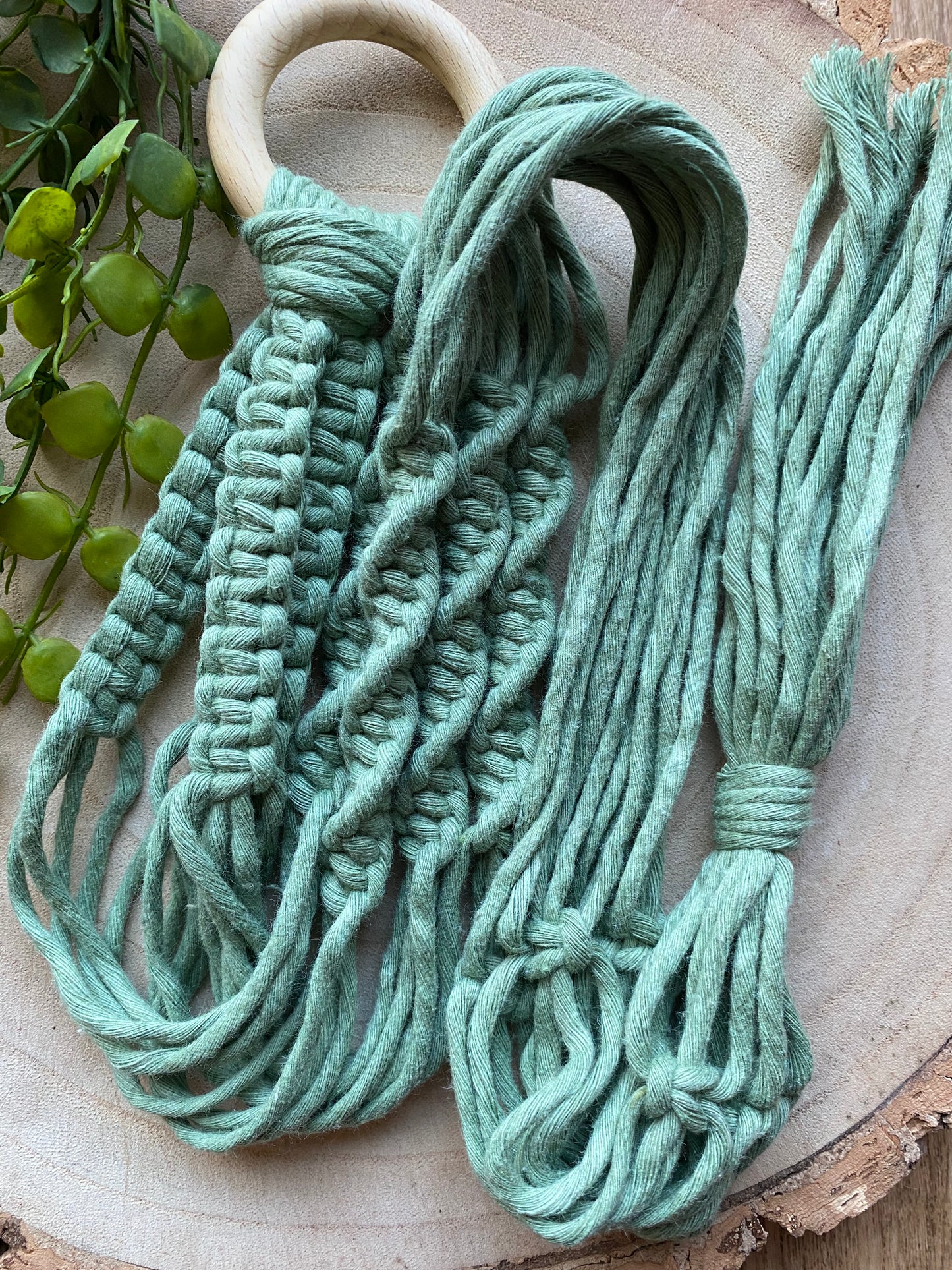 A macrame plant hanger, made with green cotton yarn on a  light coloured wooden ring on a wooden surface next to some green plant vines. 