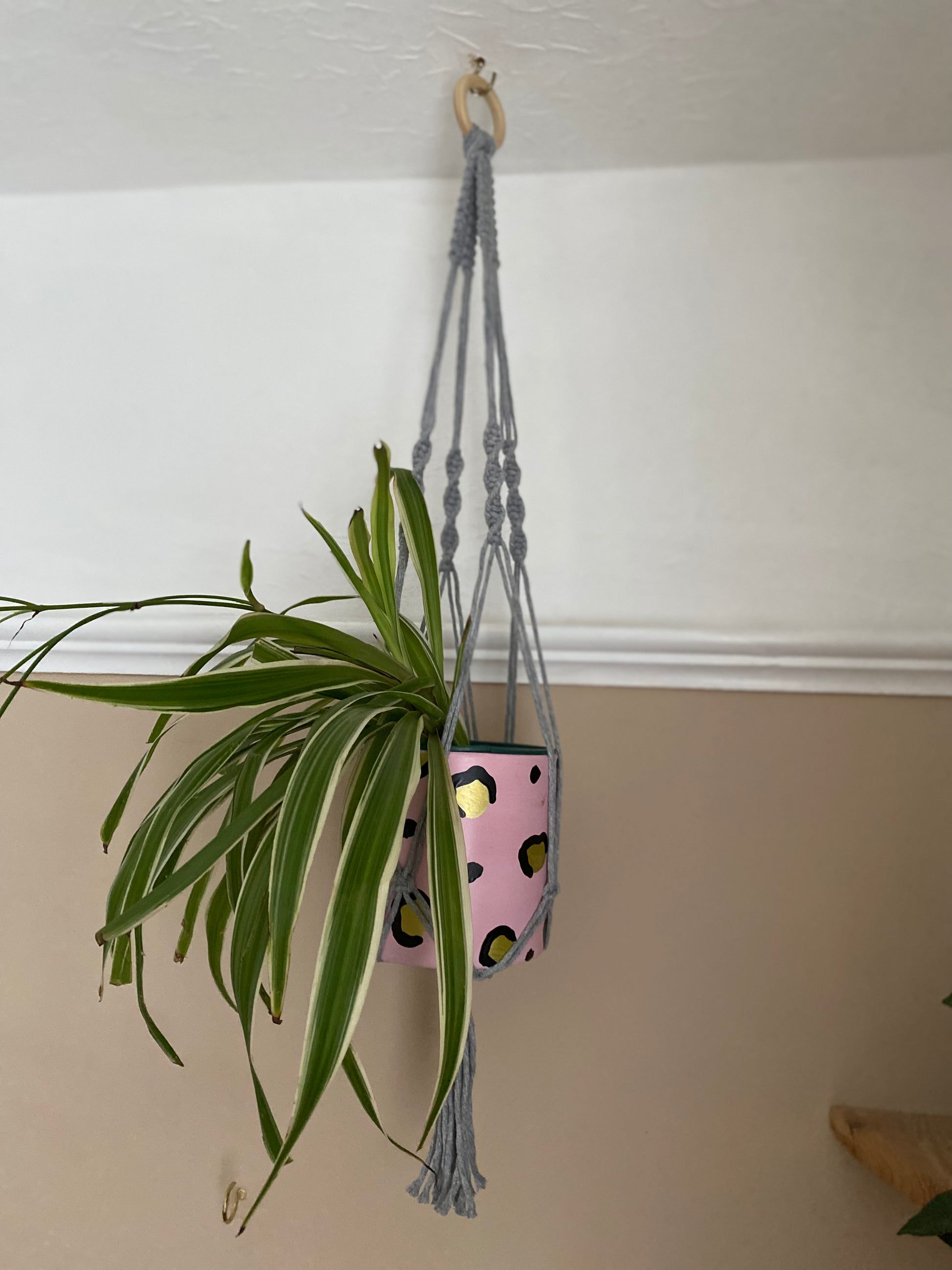 A large spider plant hangs in a pink patterned plant pot, suspended from the ceiling in a macrame plant hanger made with grey yarn and a wooden ring. 