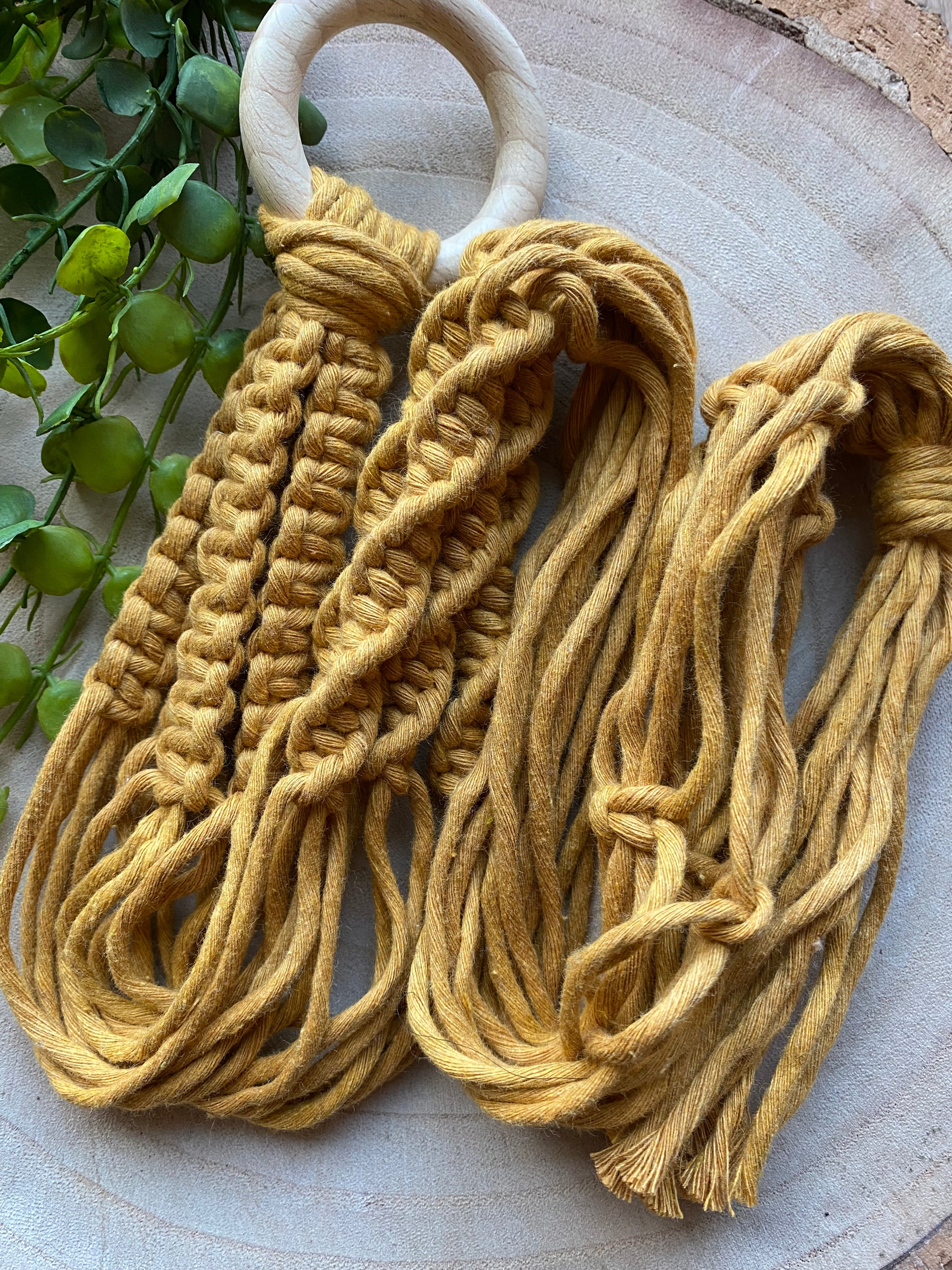 A macrame plant hanger, made with mustard yellow cotton yarn on a  light coloured wooden ring on a wooden surface next to some green plant vines. 