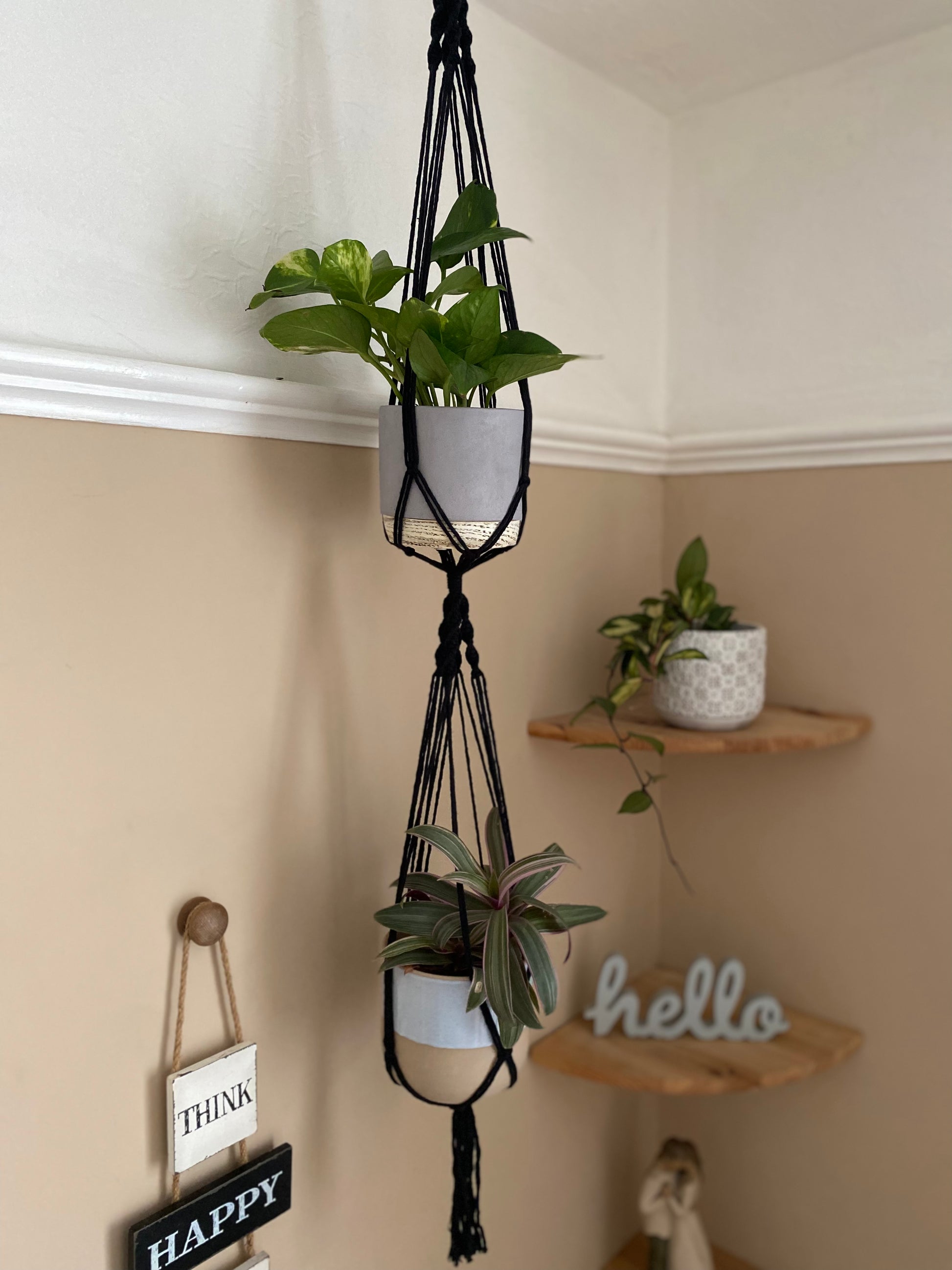 Two green plants in ceramic pots, suspended vertically in a large double macramé plant hanger, made with black yarn and a wooden hanging ring, in the corner of a room with beige walls. There is a set of corner shelves in the background. 