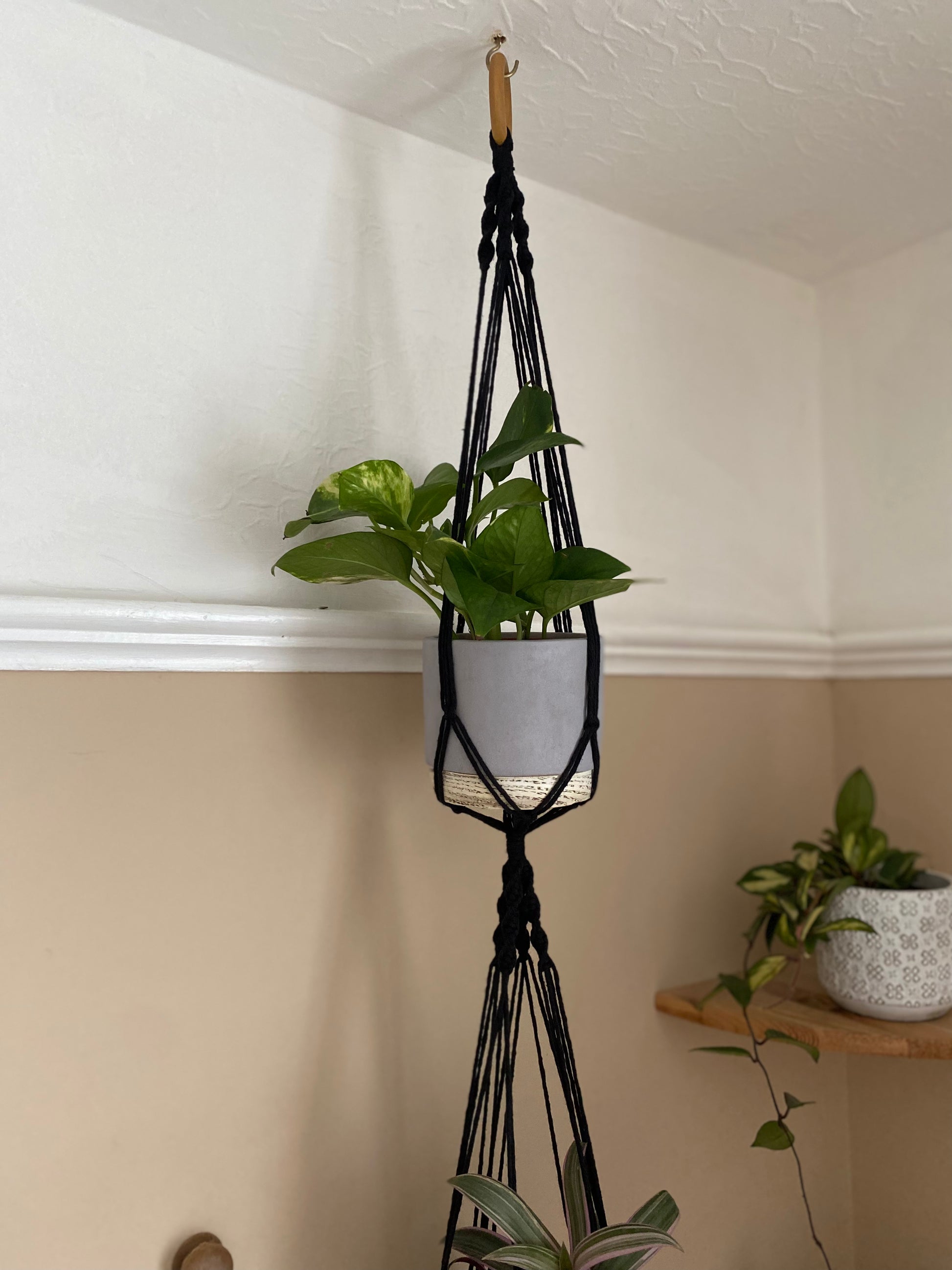 Two plants in ceramic pots, suspended vertically in a large double macramé plant hanger, made with black yarn and a wooden hanging ring, in the corner of a room with beige walls. The image focuses on the top section of the double plant hanger. 