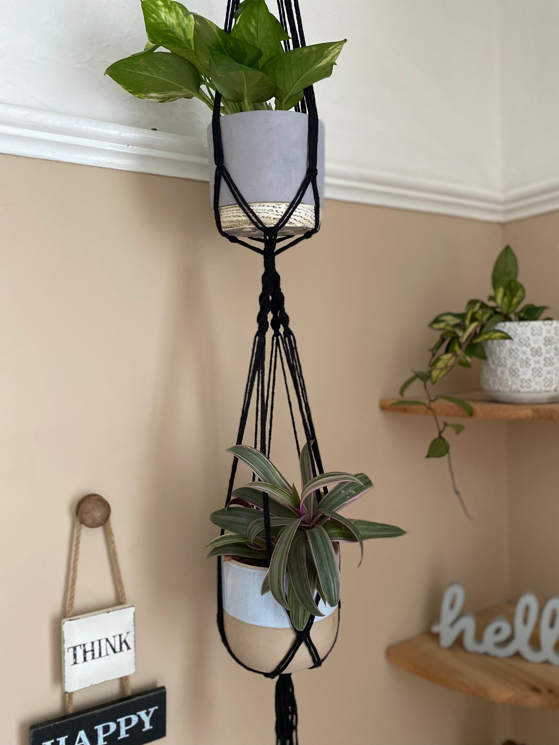 Two plants in ceramic pots, suspended vertically in a large double macramé plant hanger, made with black yarn in a room with beige walls. There is a set of corner shelves in the background.