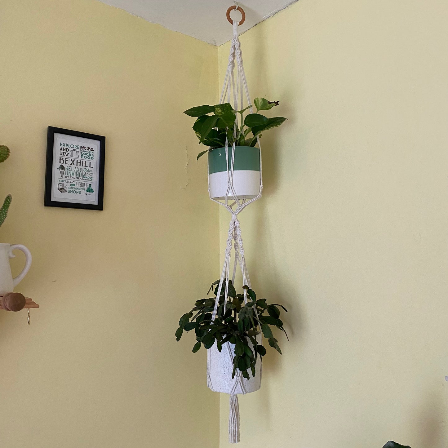 Two green plants in ceramic pots, suspended vertically in a large double macramé plant hanger, made with natural yarn and a wooden hanging ring, in the corner of a room with yellow walls. 