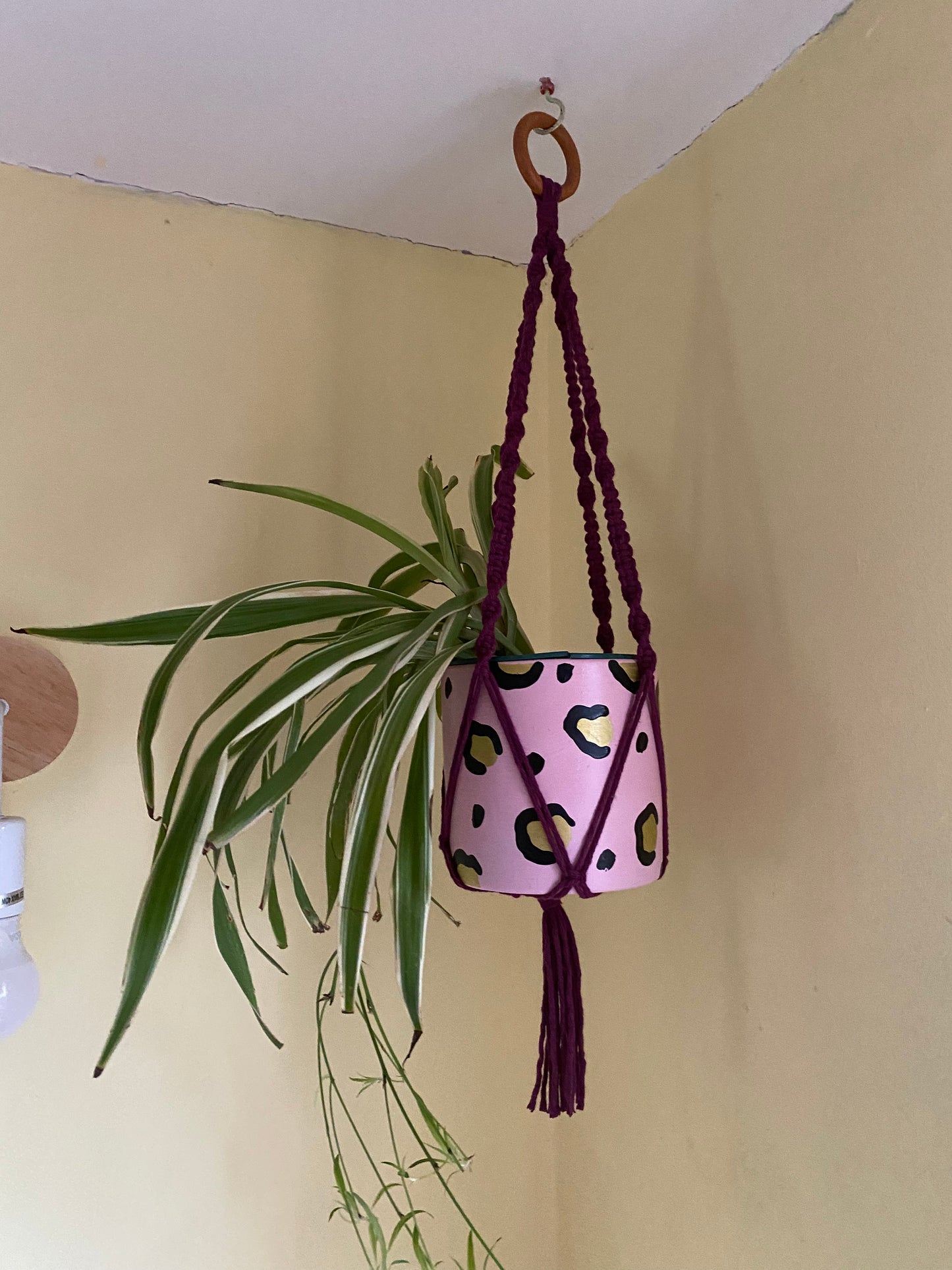 Macra-Made With Love short colourful macrame plant hanger purple hanging