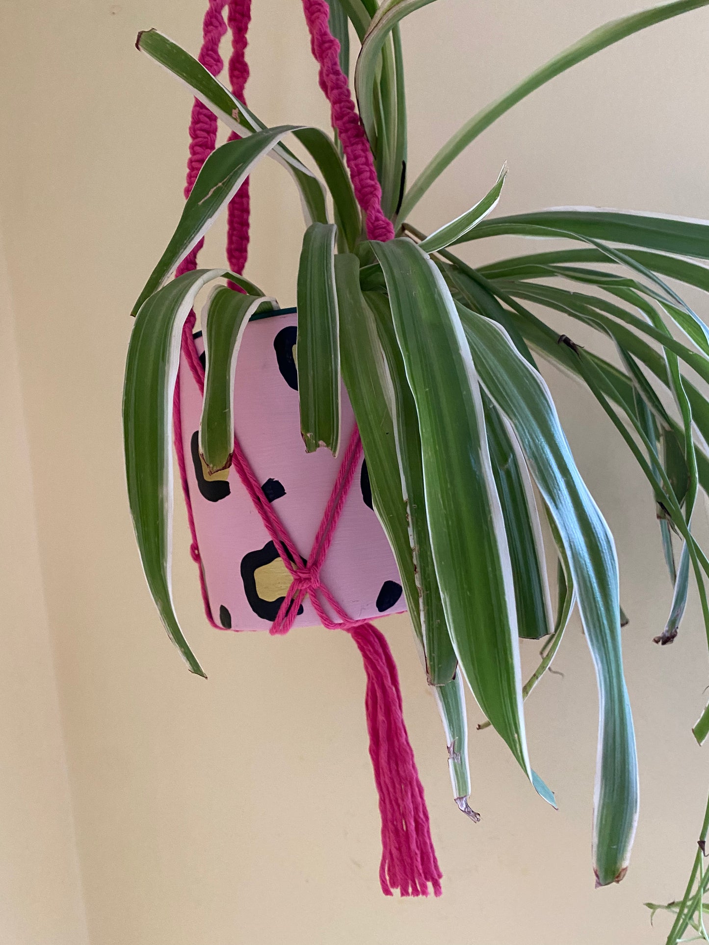 Macra-Made With Love short colourful macrame plant hanger pink bottom