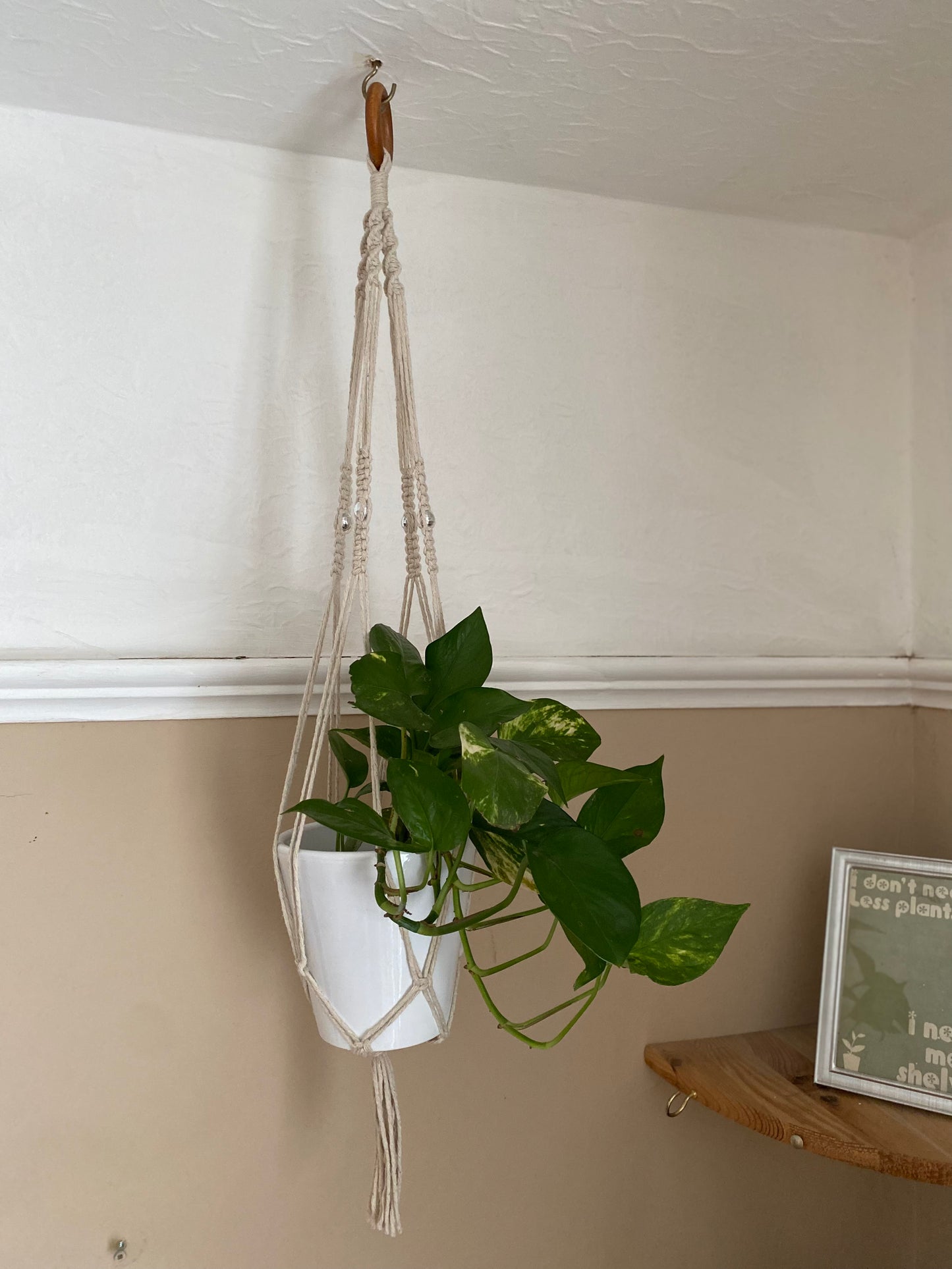 Natural eco friendly disco ball indoor plant hanger