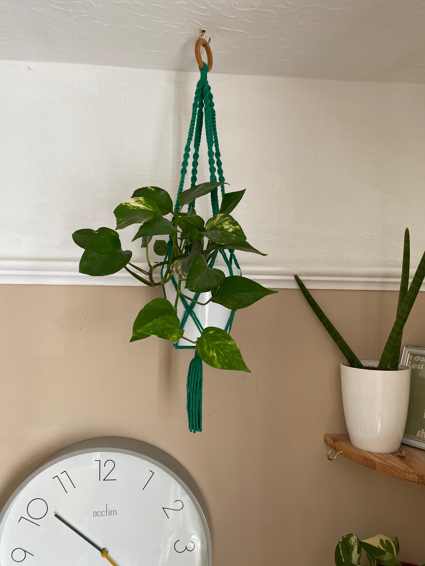 Macra-Made With Love short colourful macrame plant hanger green