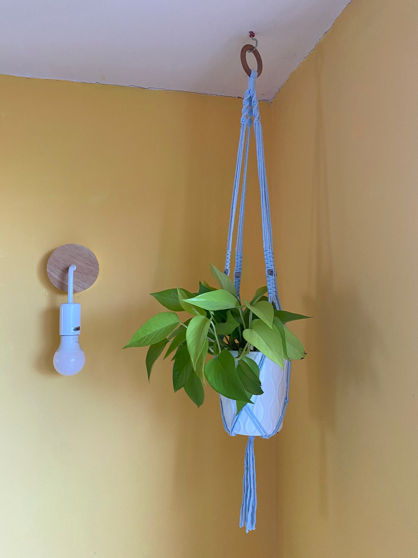 Skull Bead Macrame Plant Hanger