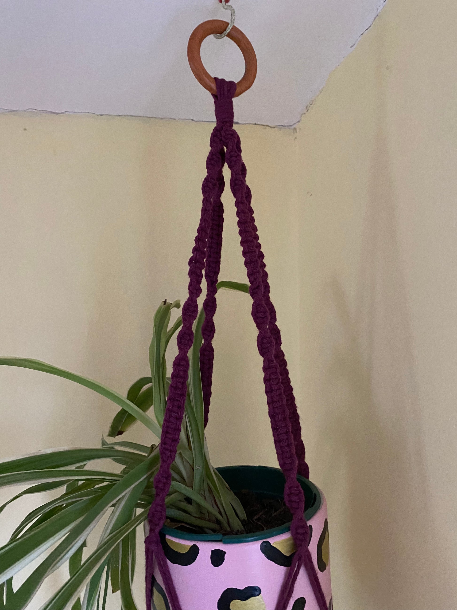 Macra-Made With Love short colourful macrame plant hanger purple top