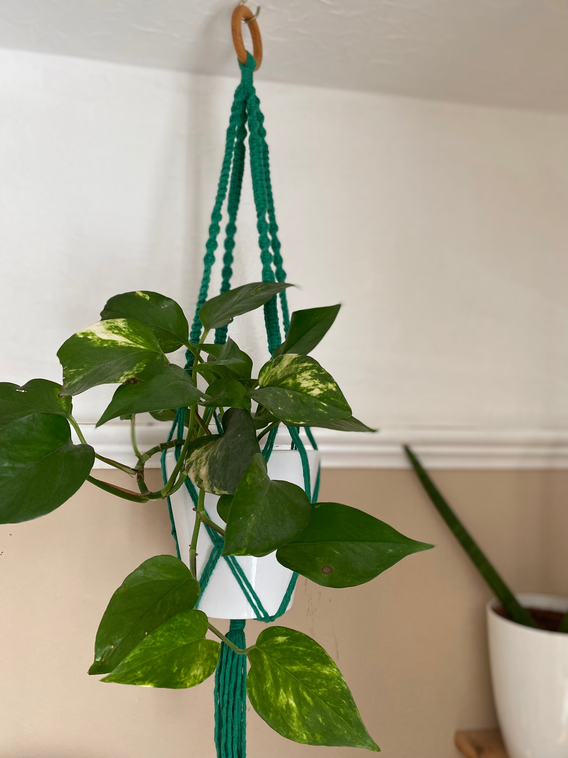 Macra-Made With Love short colourful macrame plant hanger green