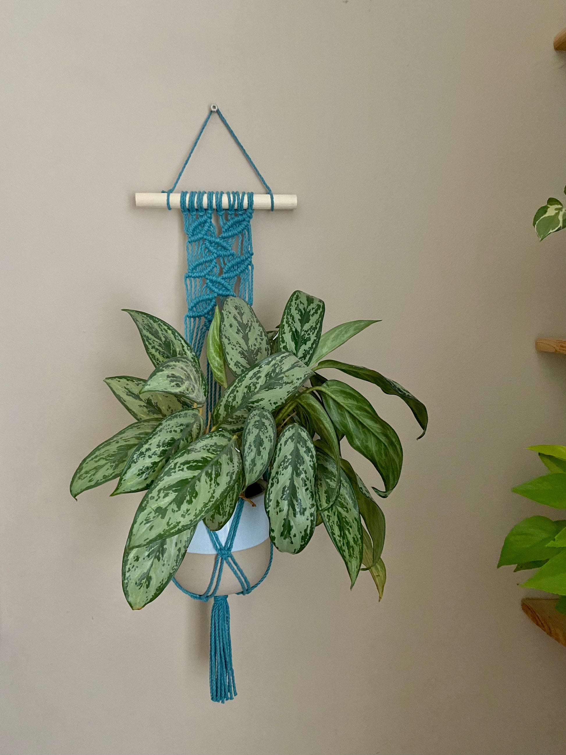 Macra-Made With Love Teal wall hanging macrame plant hanger centred