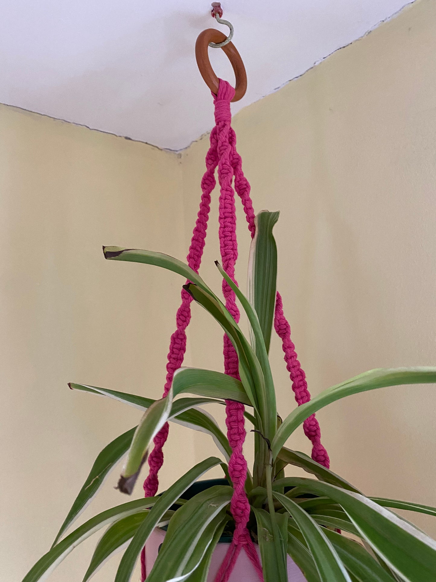 Macra-Made With Love short colourful macrame plant hanger pink top detail