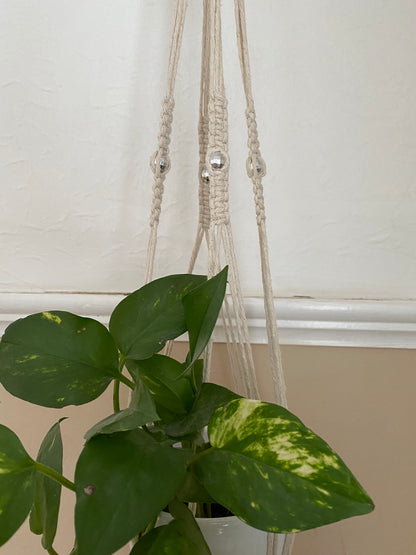 Natural eco friendly disco ball indoor plant hanger