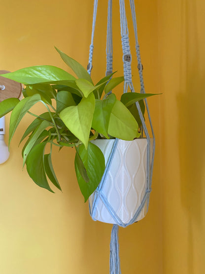 Skull Bead Macrame Plant Hanger