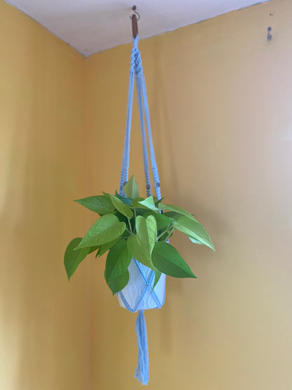 Skull Bead Macrame Plant Hanger