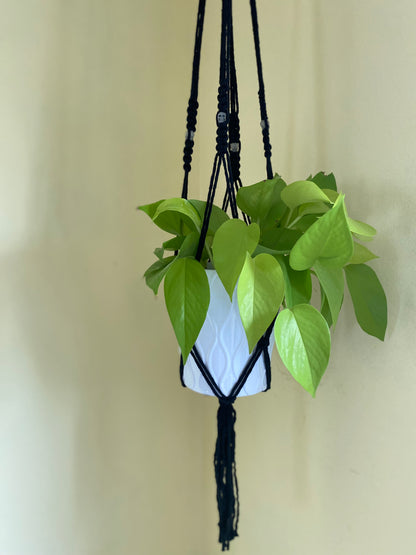 Skull Bead Macrame Plant Hanger